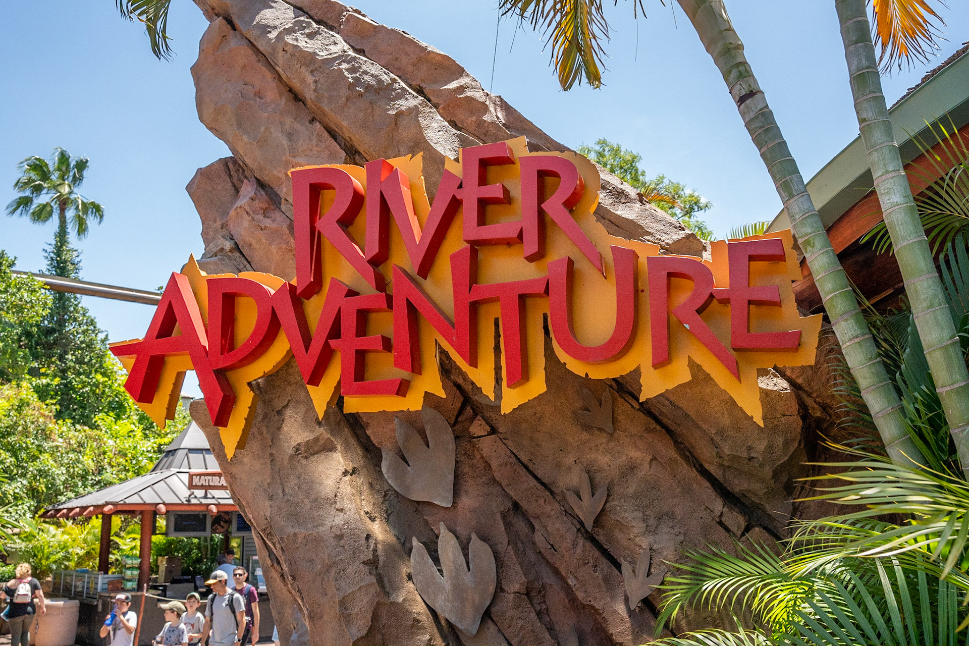 Photo by Jon Roost (www.jonroostphotos.com)