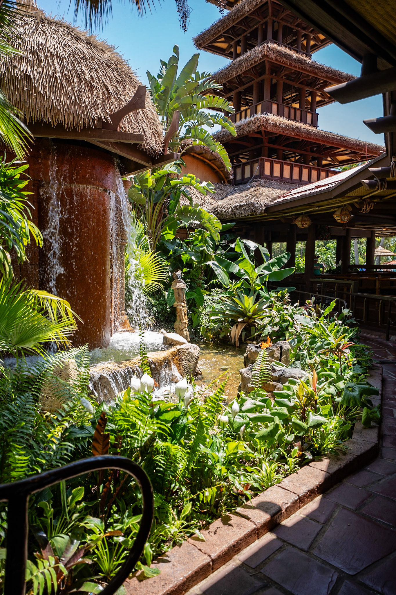 Photo by Jon Roost (www.jonroostphotos.com)