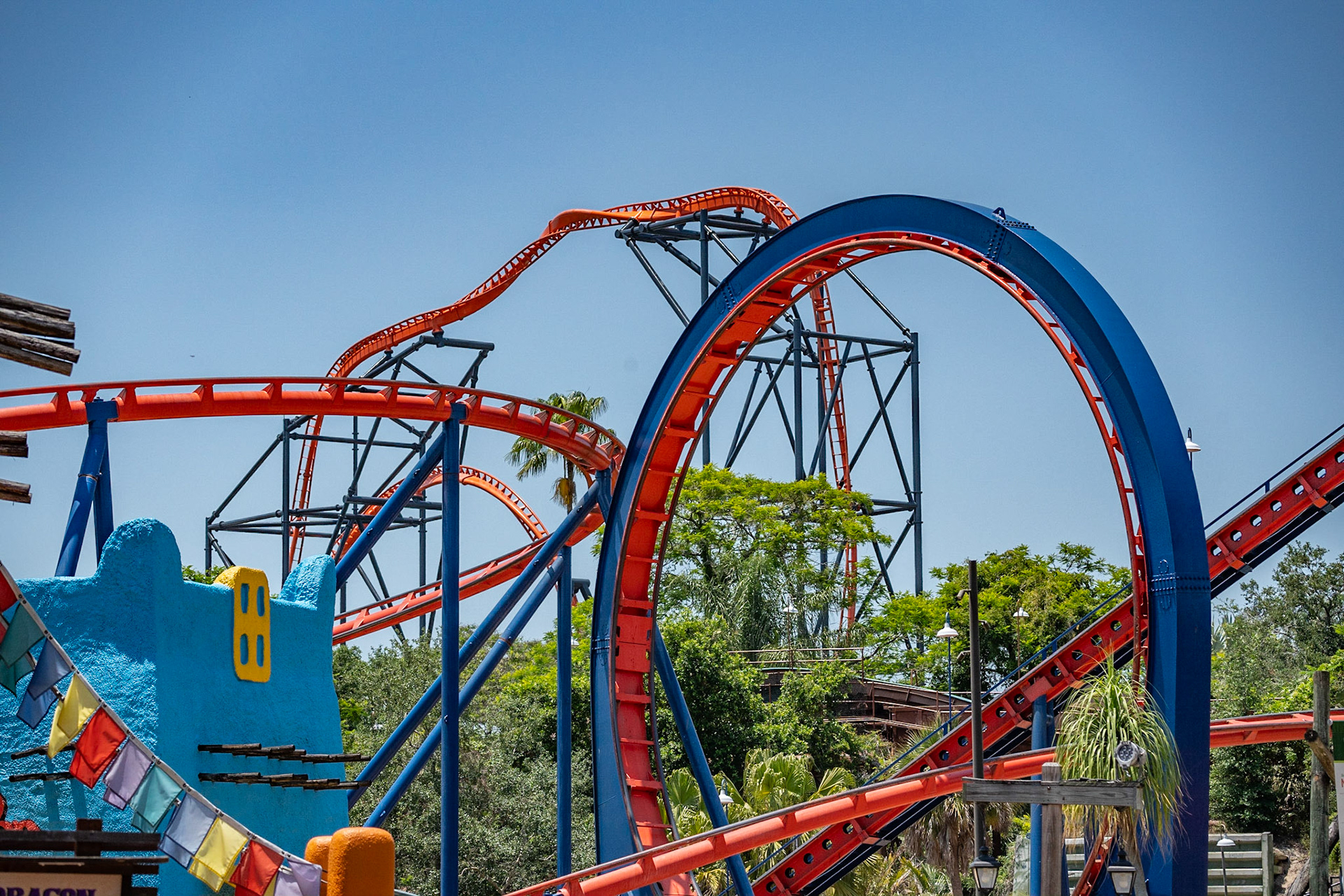 Photo by Jon Roost (www.jonroostphotos.com)