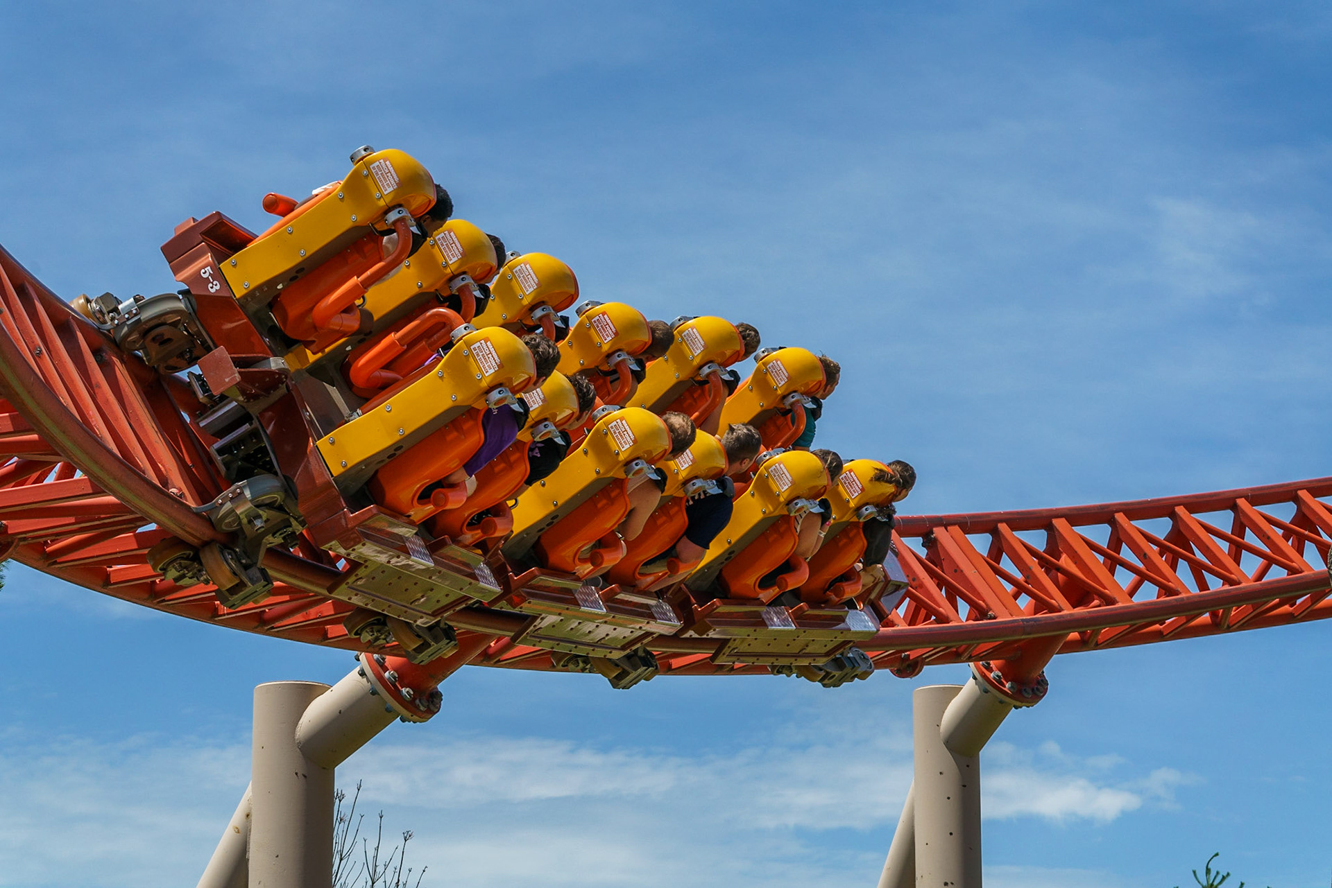 Photo by Jon Roost (www.jonroostphotos.com)