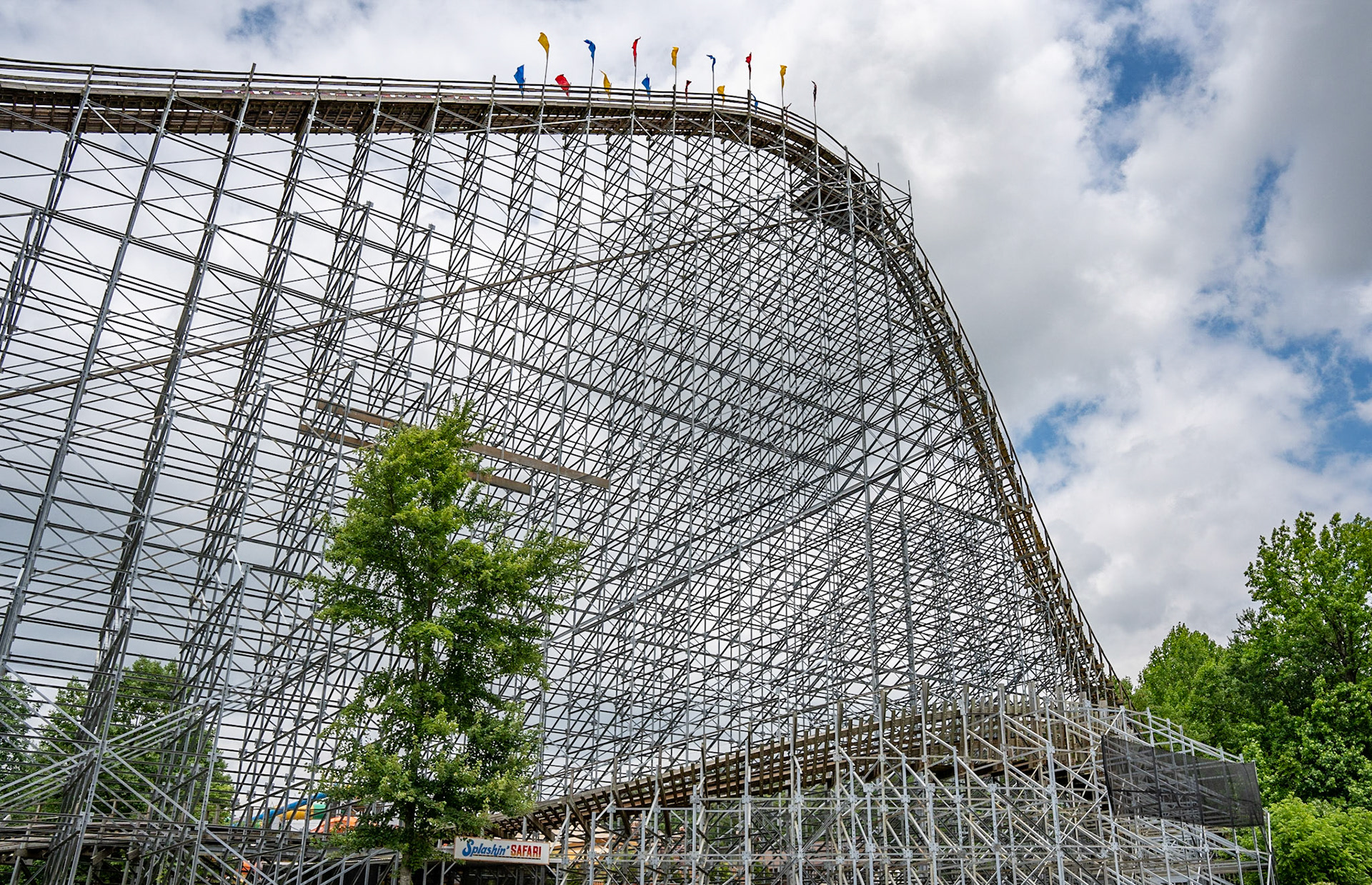 Photo by Jon Roost (www.jonroostphotos.com)