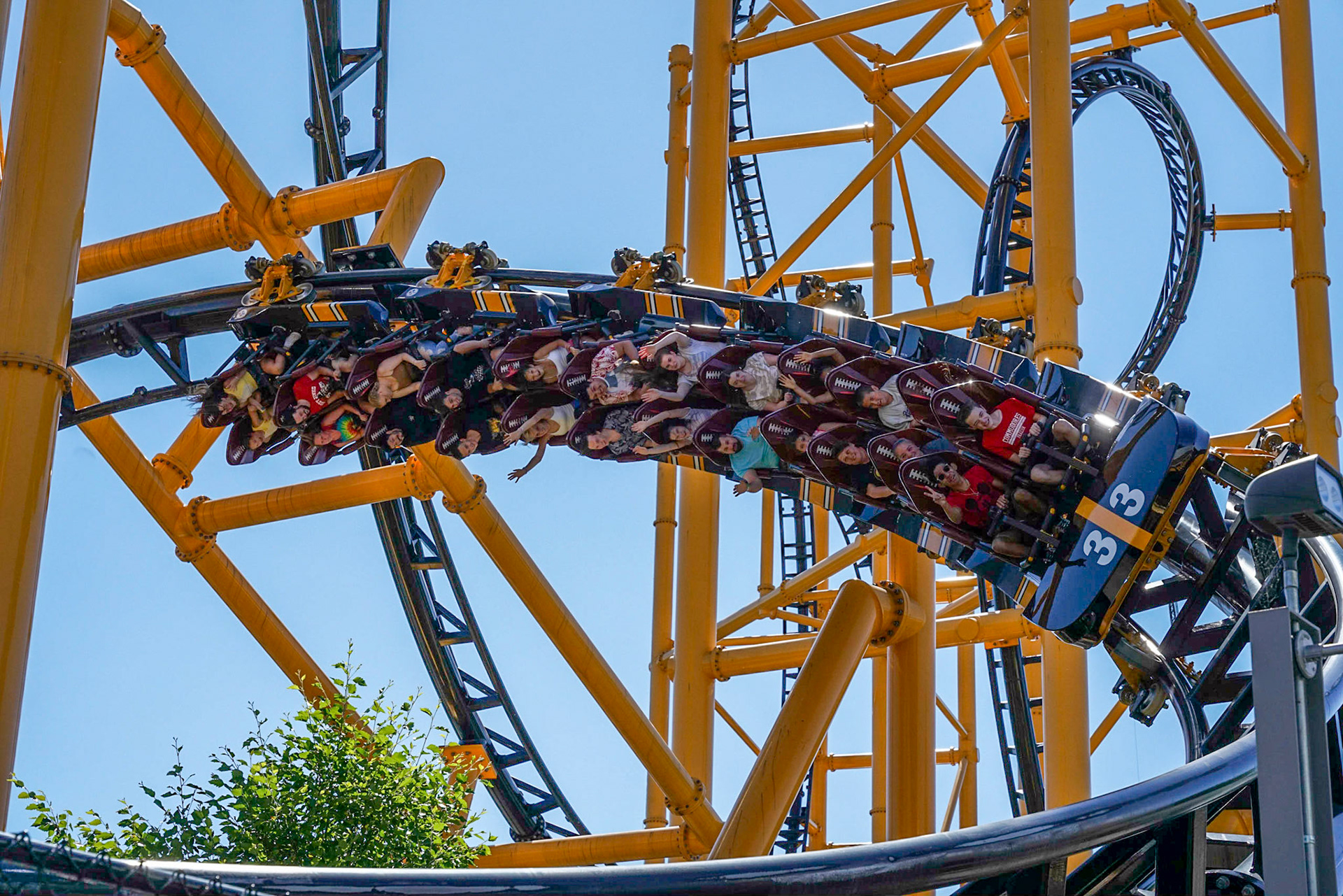 Photo by Jon Roost (www.jonroostphotos.com)