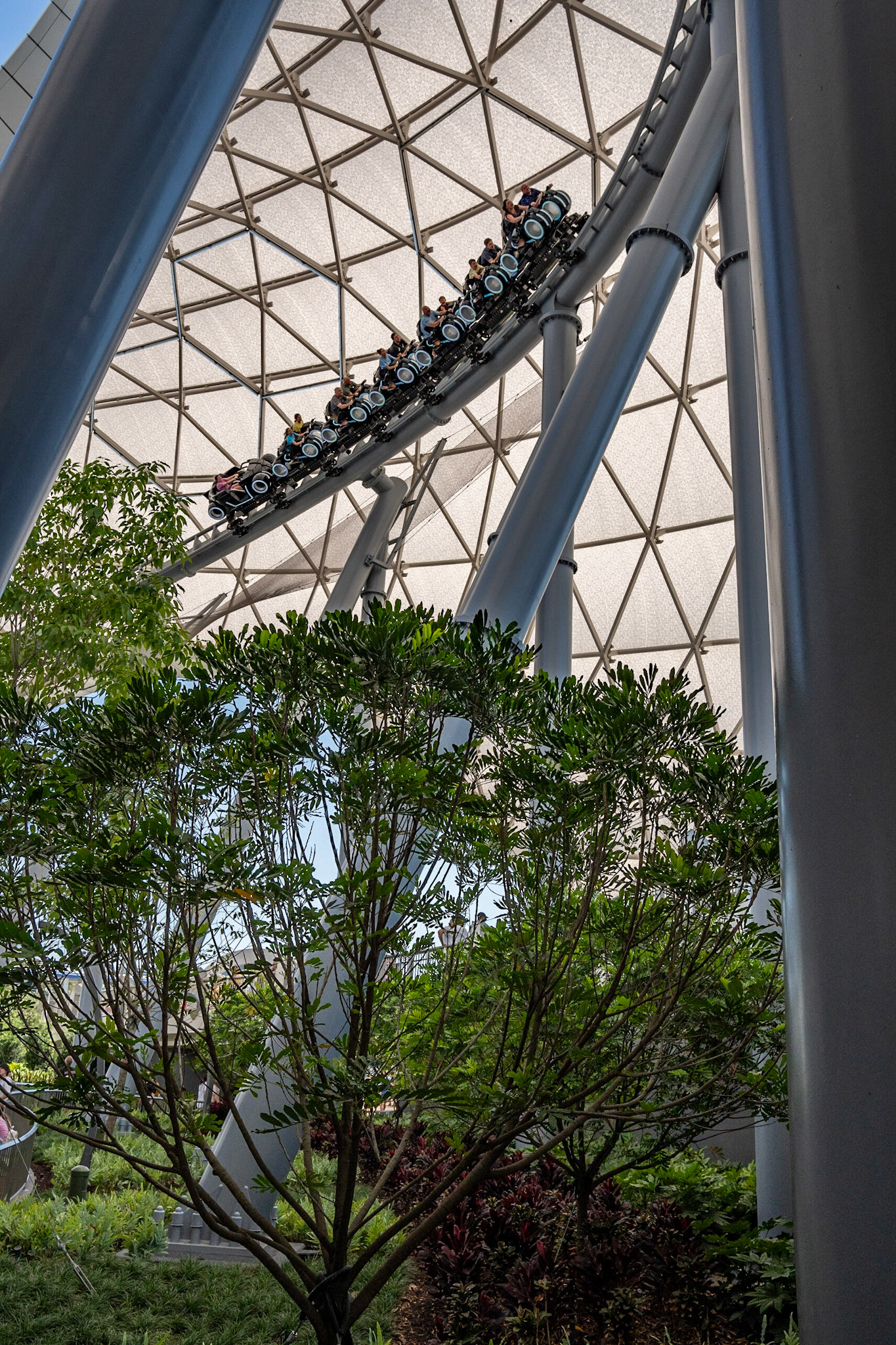 Photo by Jon Roost (www.jonroostphotos.com)