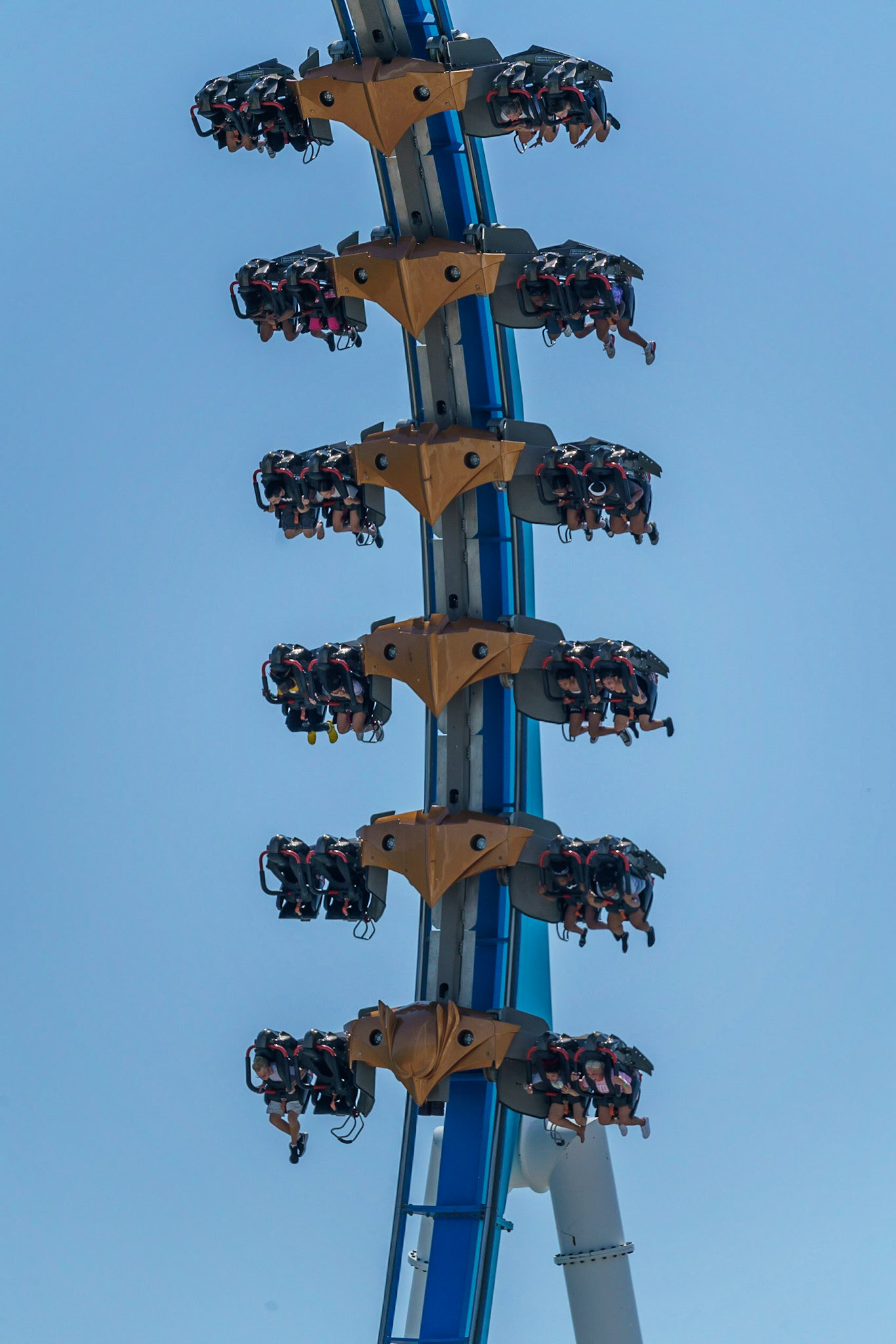 Photo by Jon Roost (www.jonroostphotos.com)