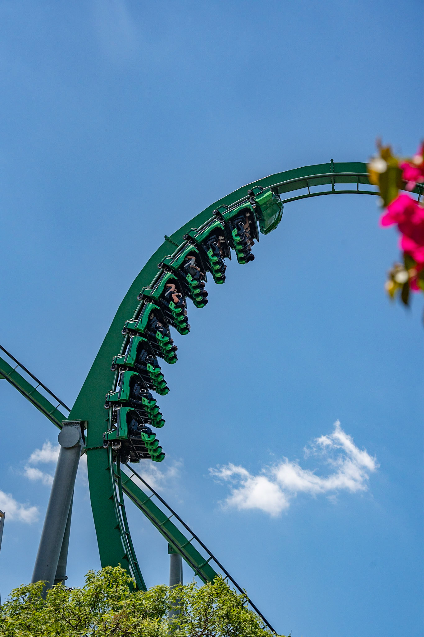 Photo by Jon Roost (www.jonroostphotos.com)