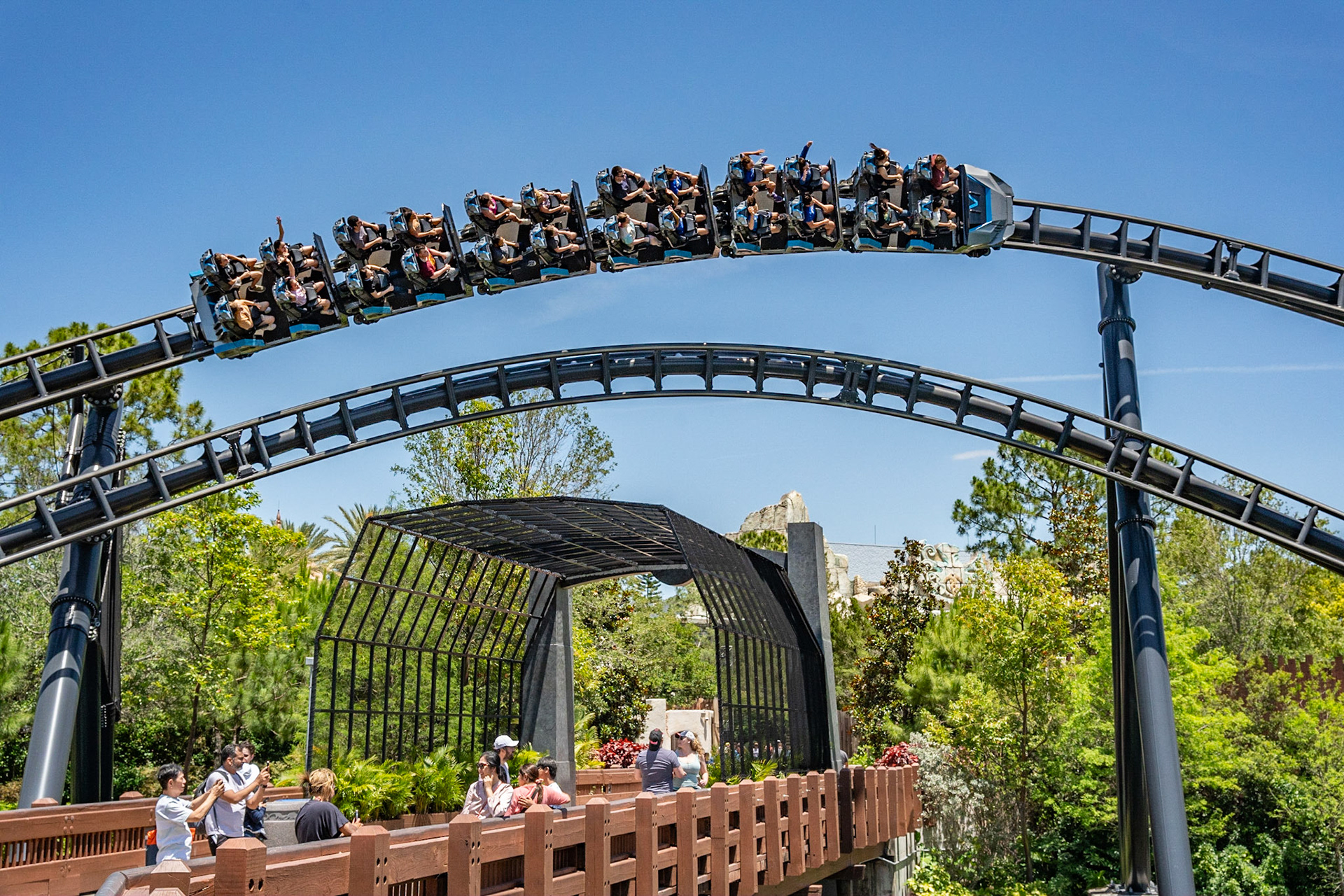 Photo by Jon Roost (www.jonroostphotos.com)