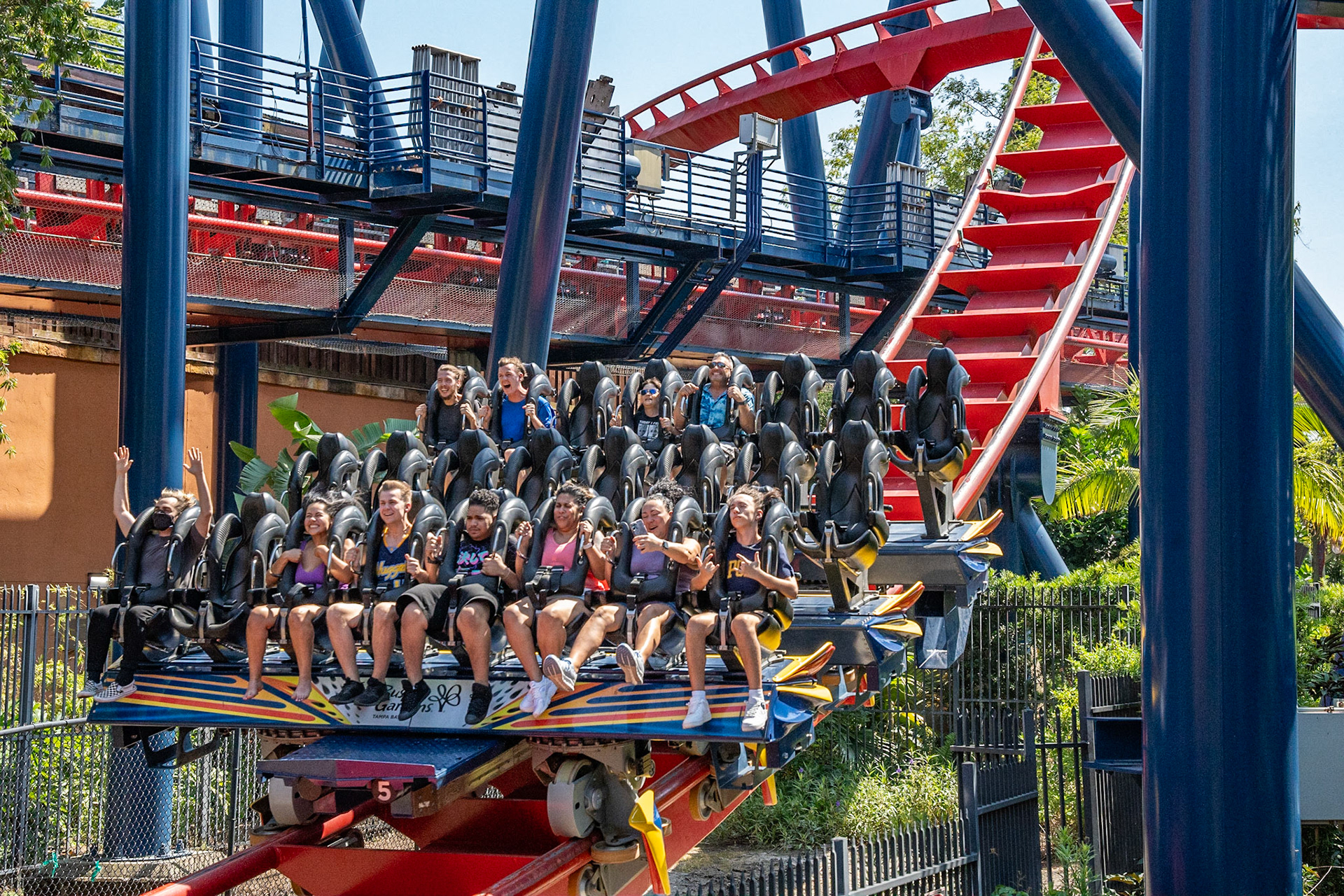 Photo by Jon Roost (www.jonroostphotos.com)