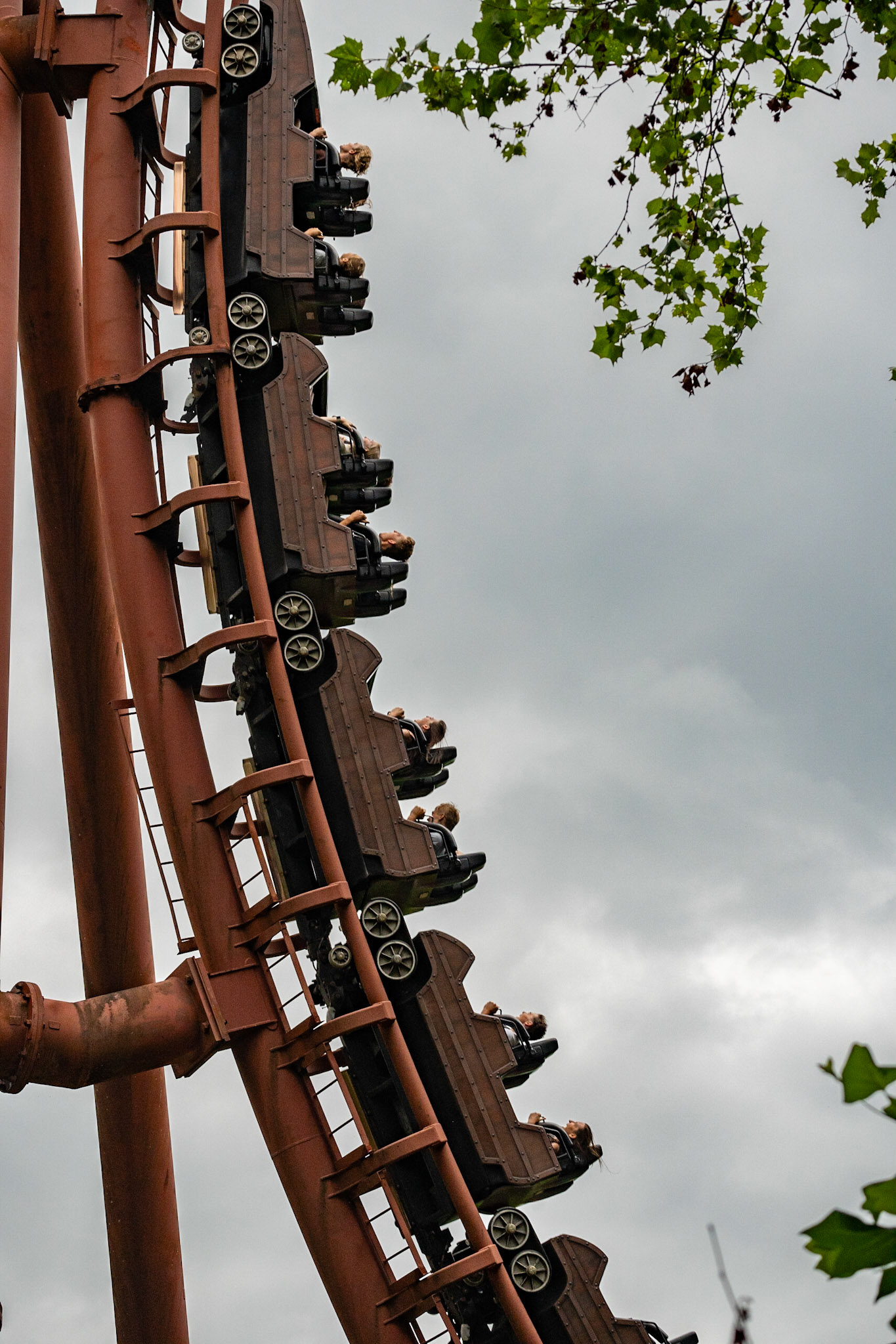 Photo by Jon Roost (www.jonroostphotos.com)