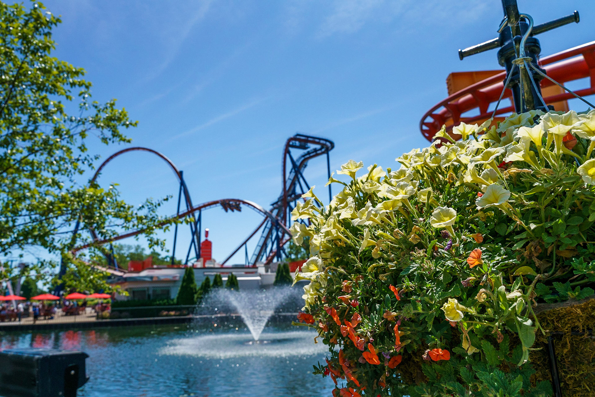 Photo by Jon Roost (www.jonroostphotos.com)