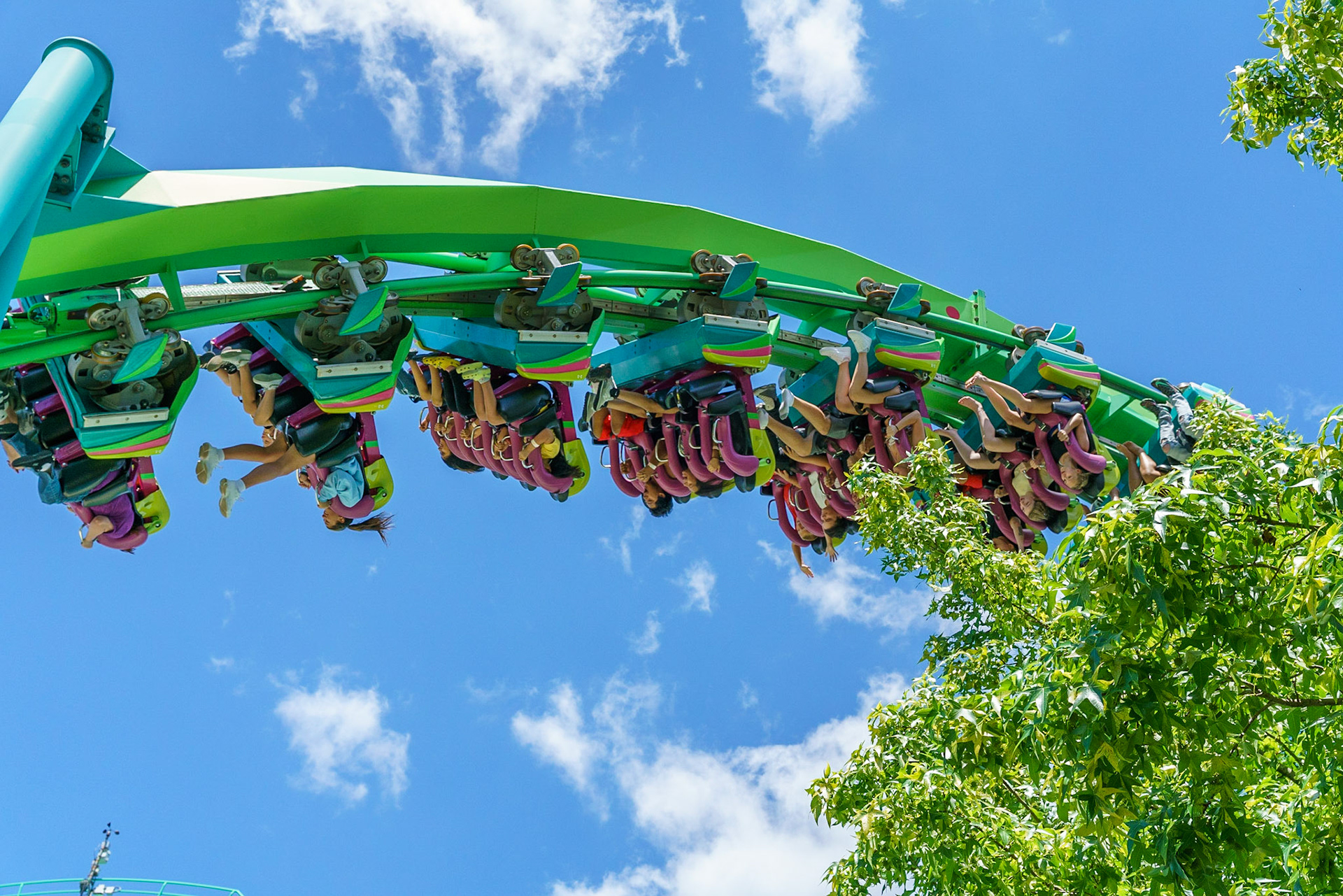 Photo by Jon Roost (www.jonroostphotos.com)