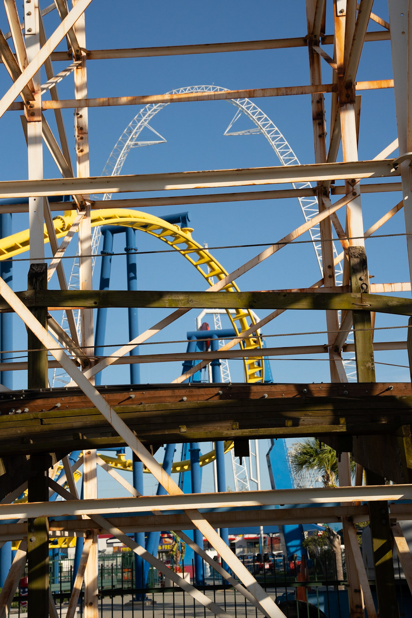 Photo by Jon Roost (www.jonroostphotos.com)