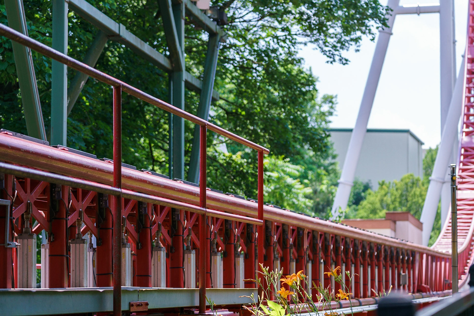 Photo by Jon Roost (www.jonroostphotos.com)