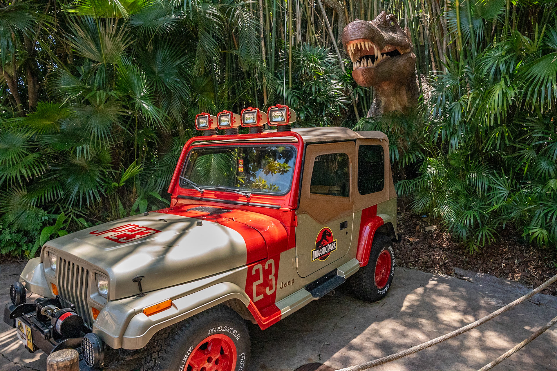 Photo by Jon Roost (www.jonroostphotos.com)