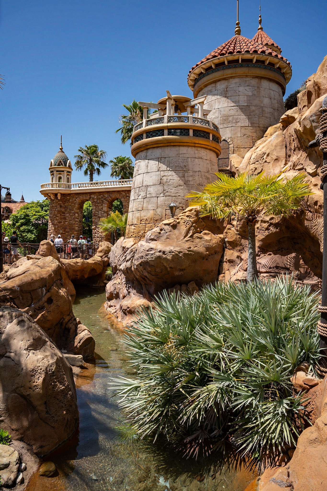 Photo by Jon Roost (www.jonroostphotos.com)