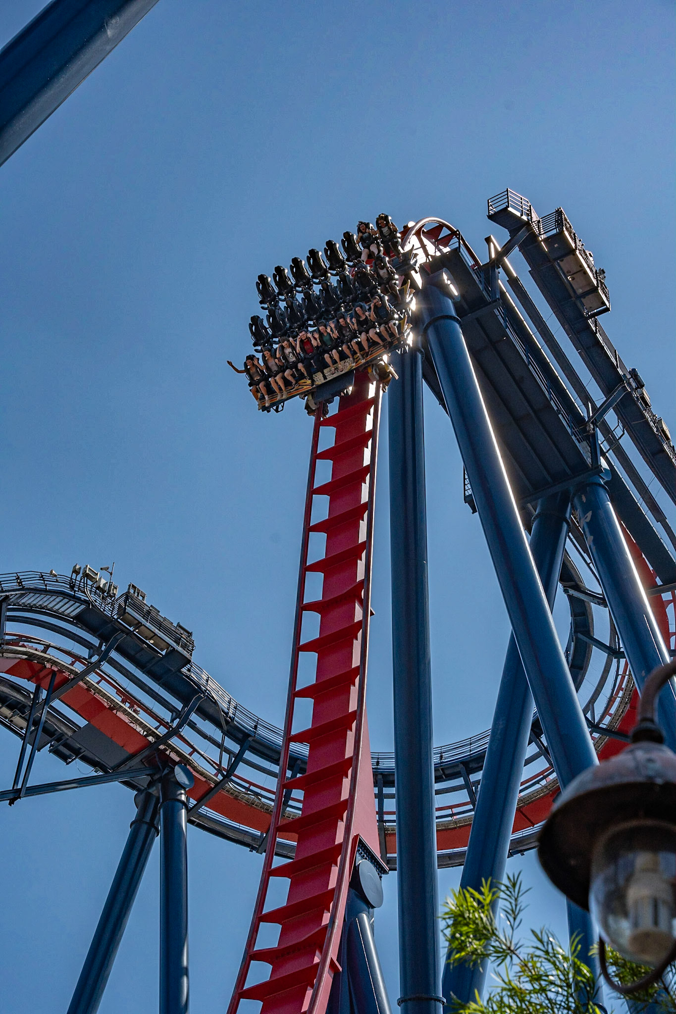 Photo by Jon Roost (www.jonroostphotos.com)