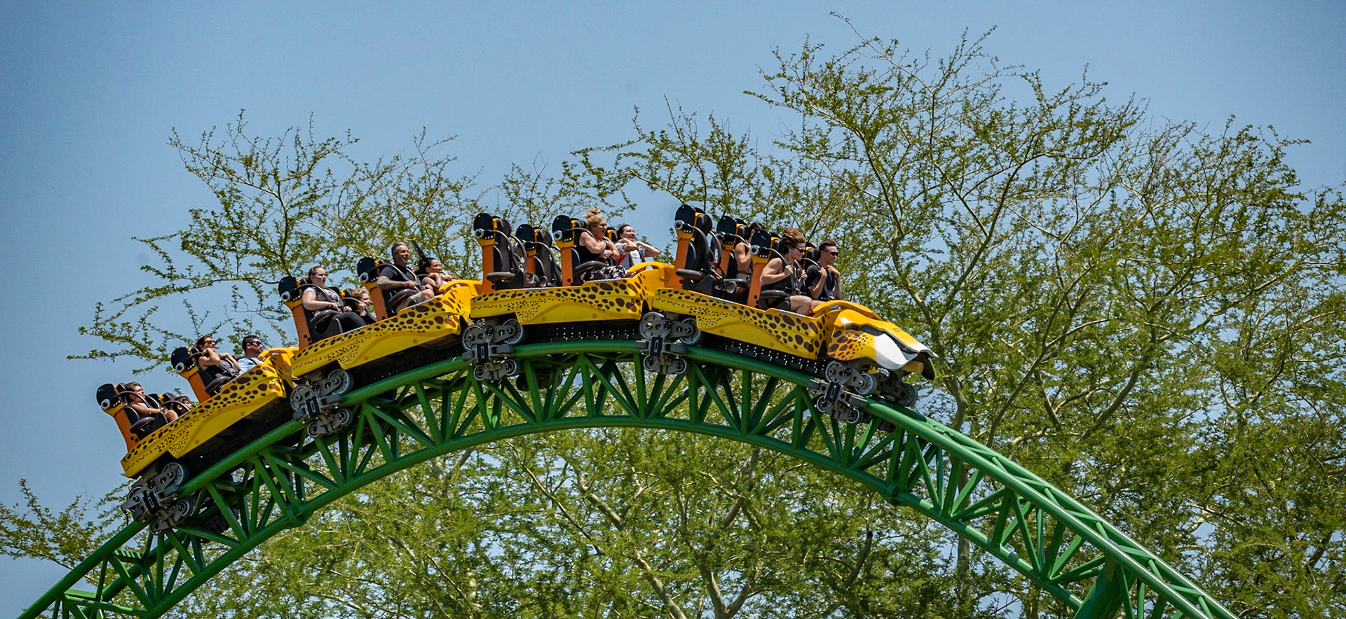 Photo by Jon Roost (www.jonroostphotos.com)