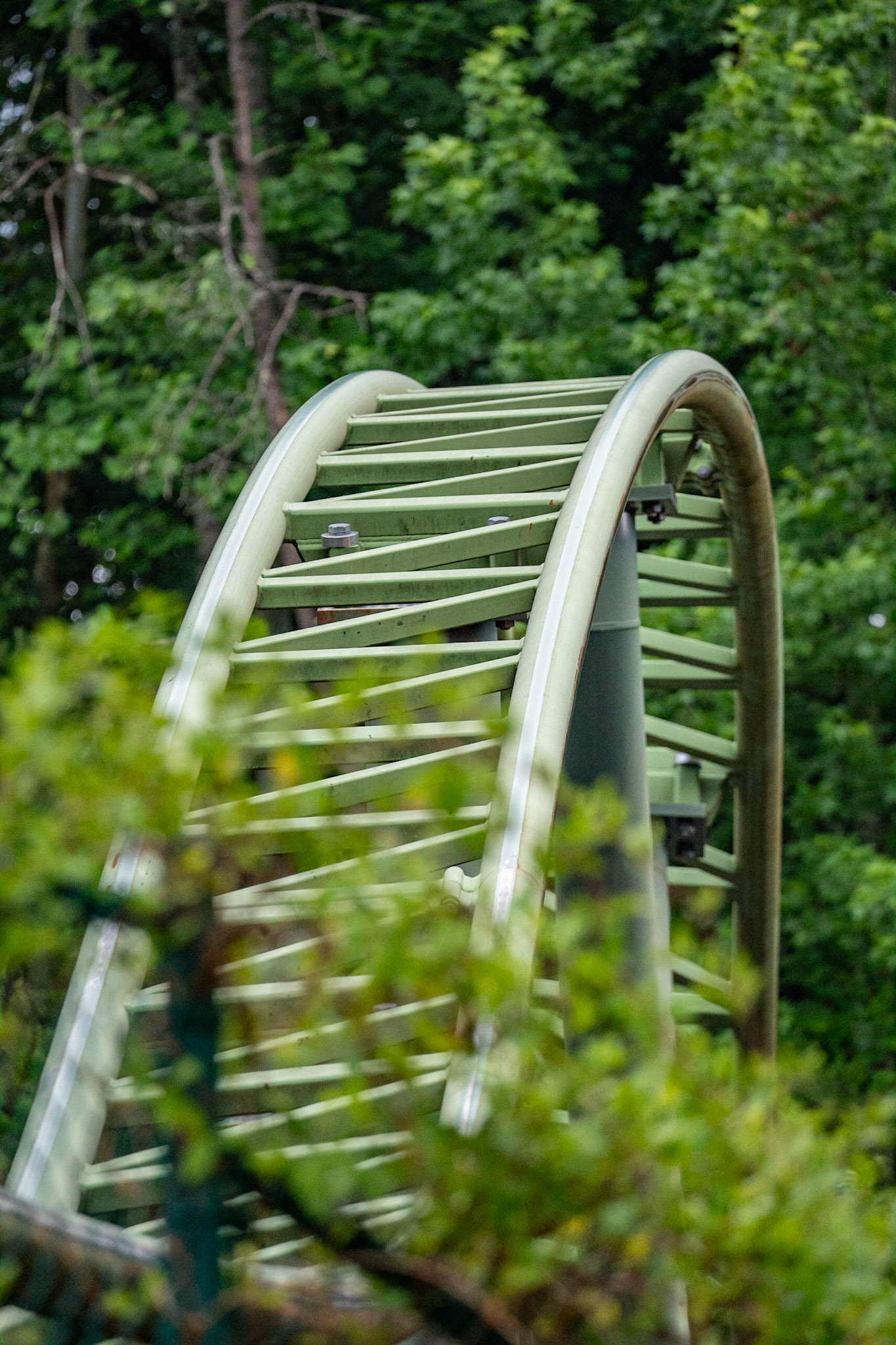 Photo by Jon Roost (www.jonroostphotos.com)