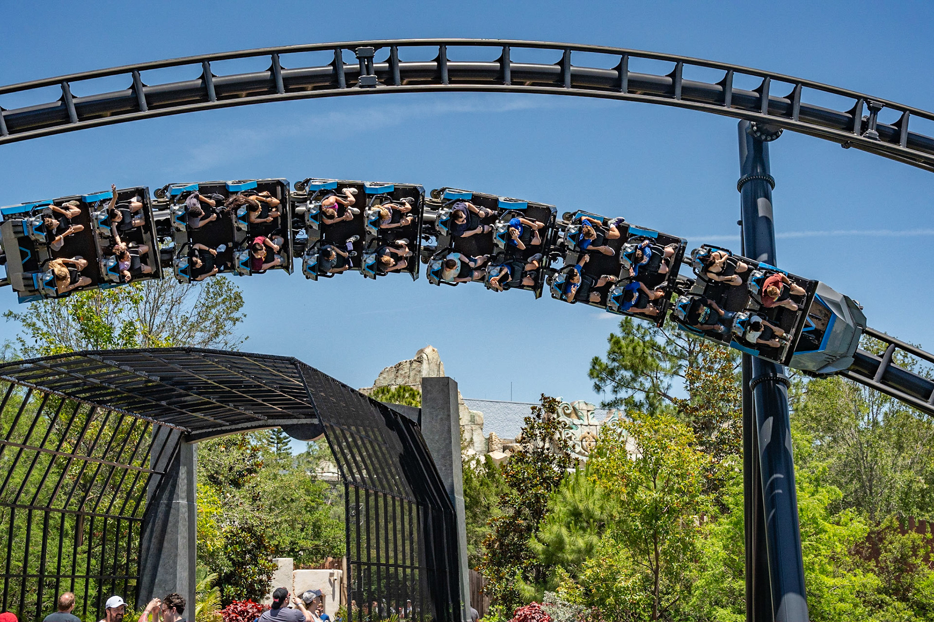 Photo by Jon Roost (www.jonroostphotos.com)