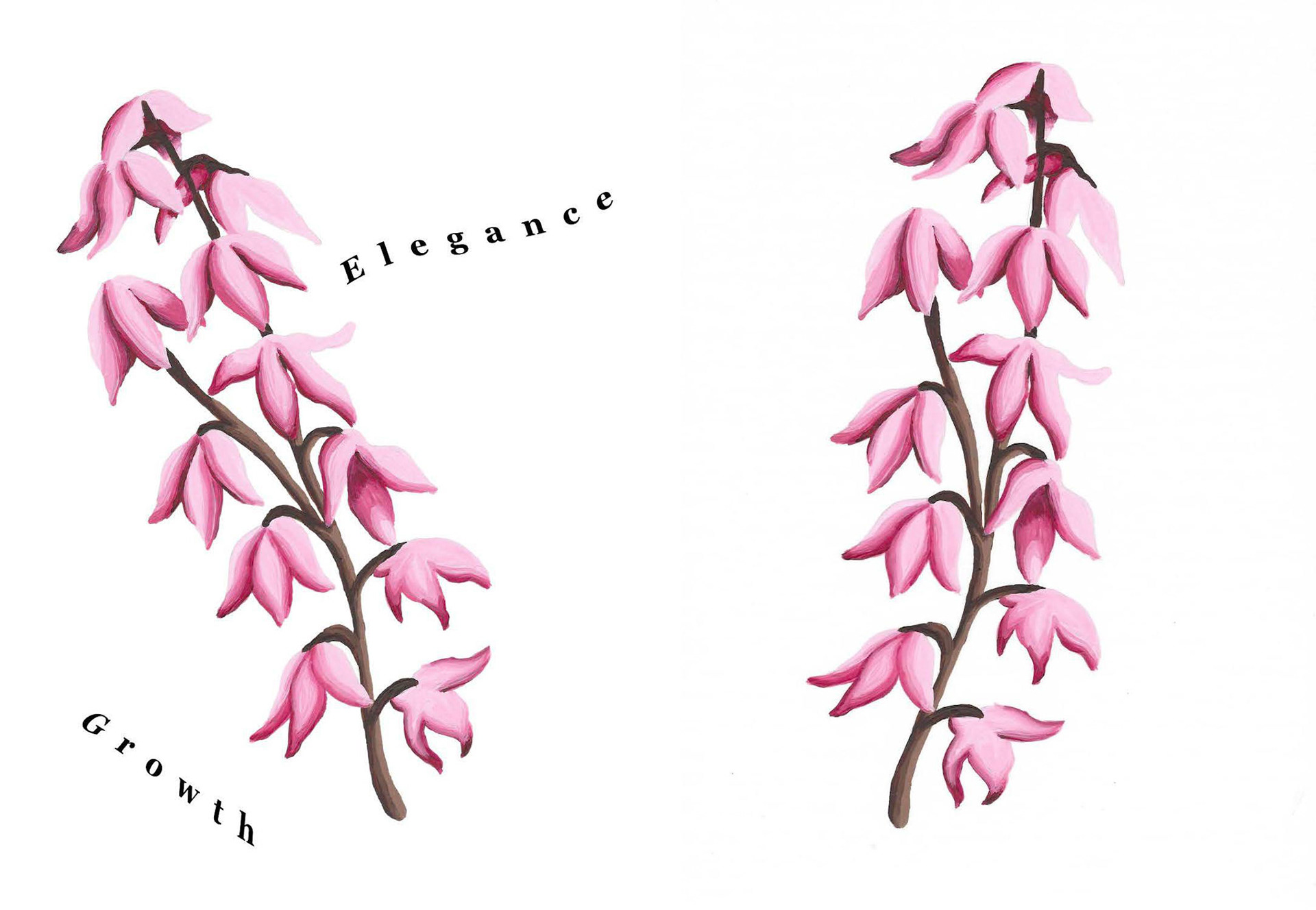 Sketchbook ideas exploring nature - 'ready to hang' wall art