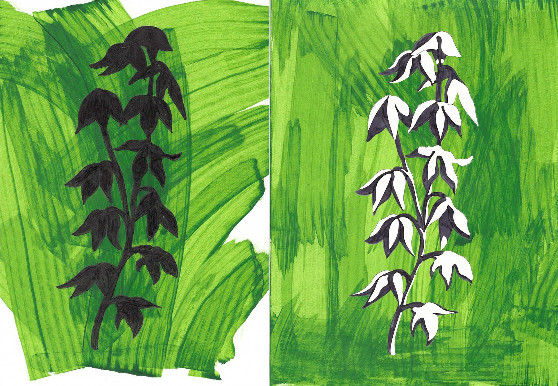 Sketchbook ideas exploring nature - 'ready to hang' wall art