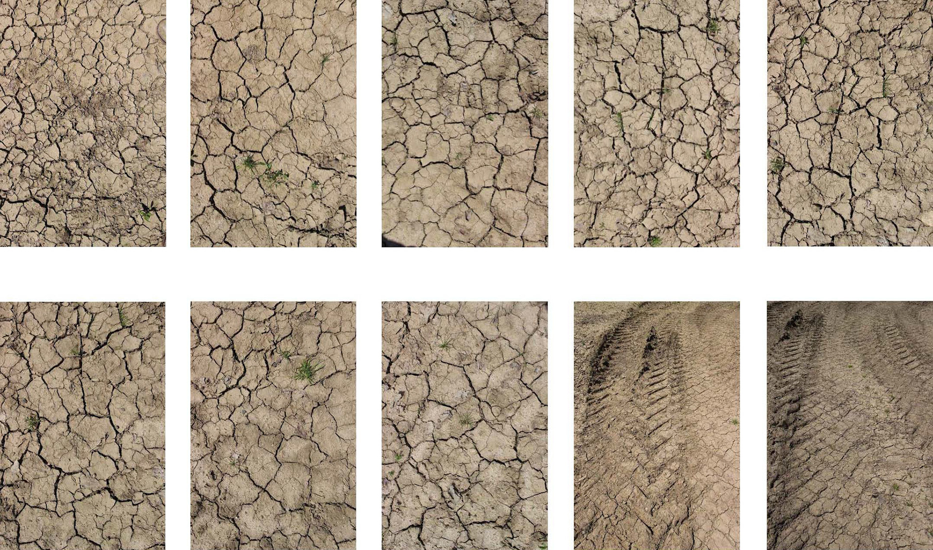 Poster Development - Photographs taken of droughted farm land to be used as the background for the poster design.