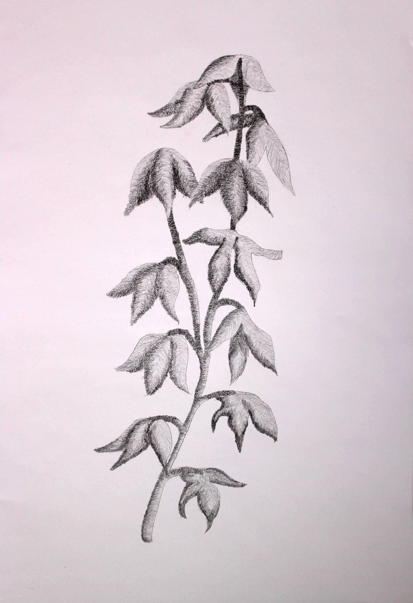 Assignment: 'Ready To Hang' Wall Art Design