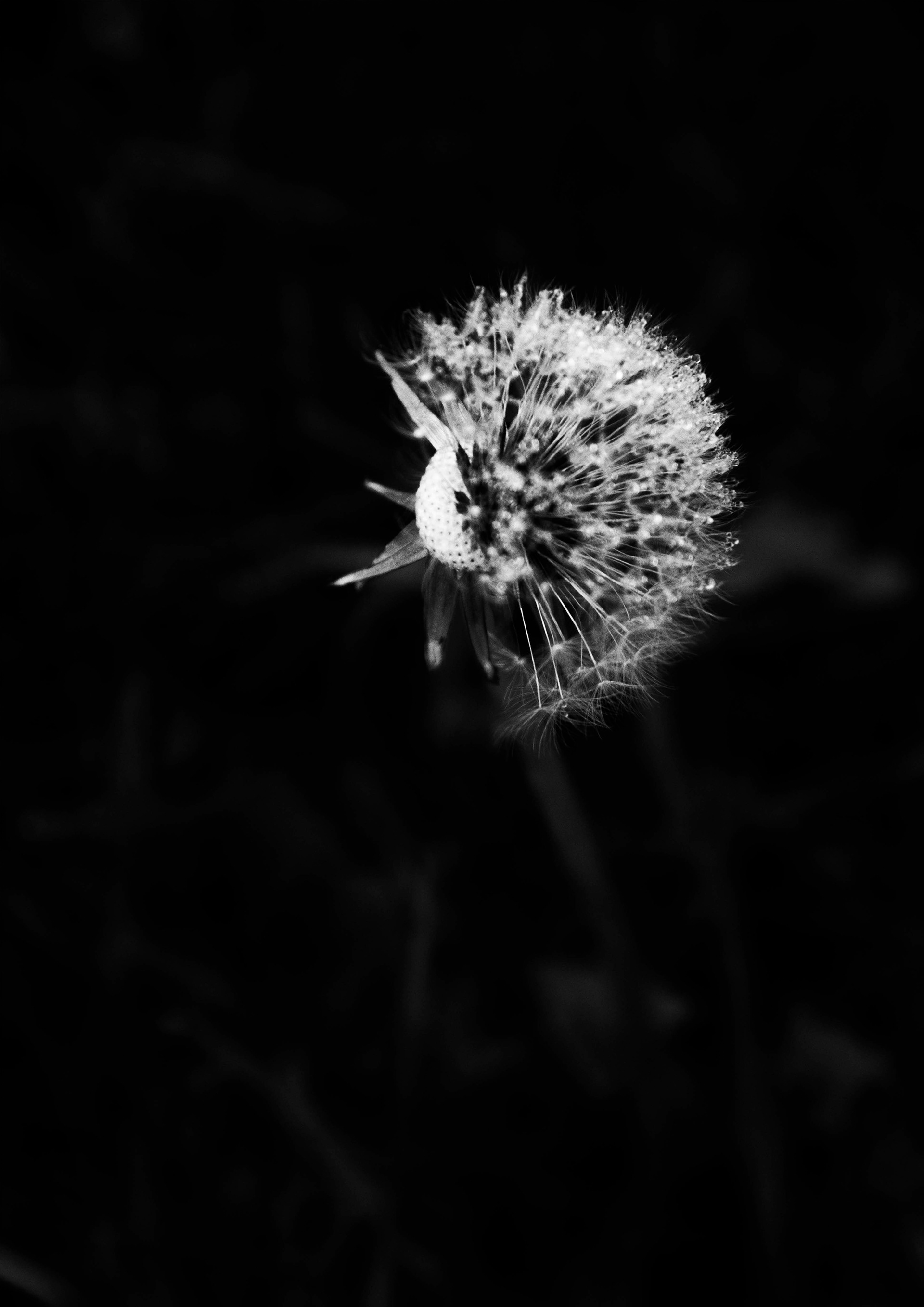 LOOKING FOR LIGHT 6 ©