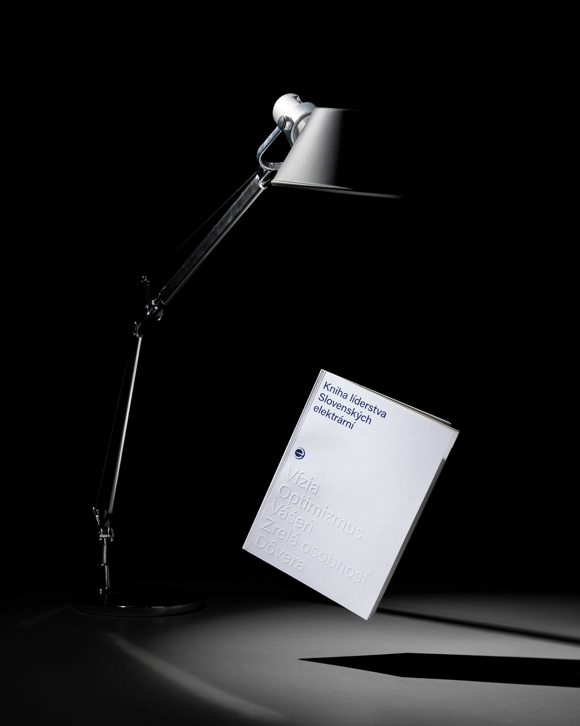 for Slovenské Elektrárne (with Jakub Ptačin & Matúš Buranovský)