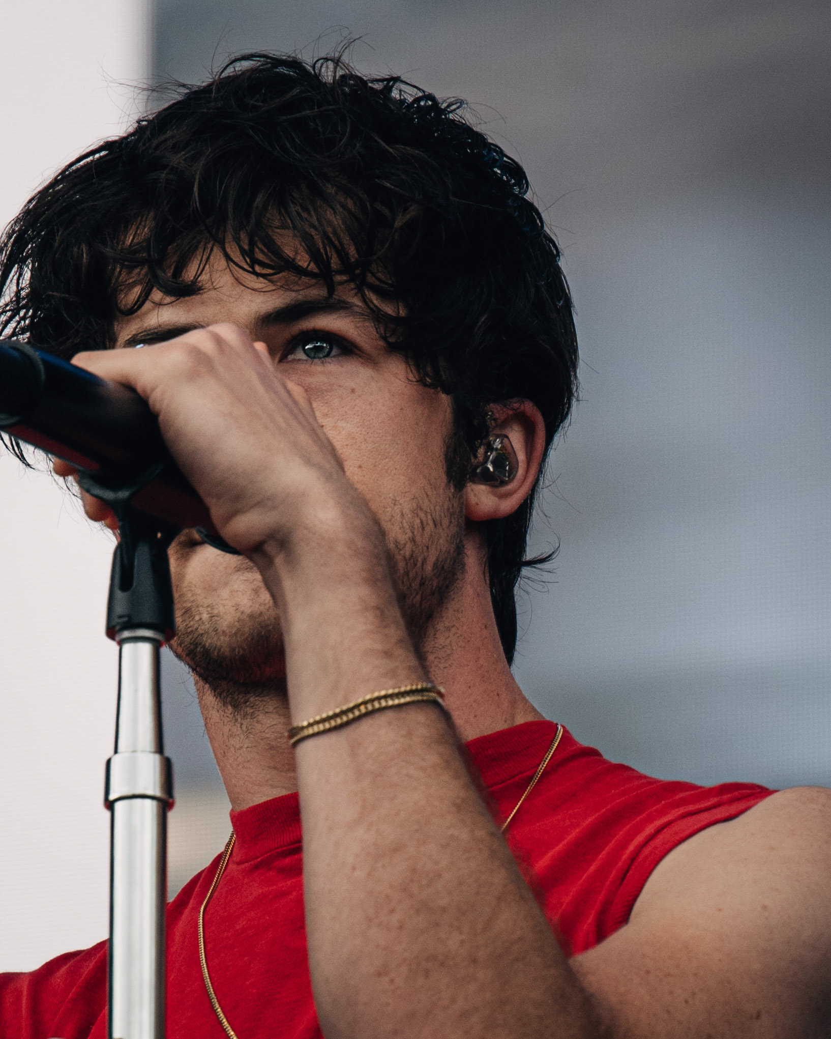 Wallows