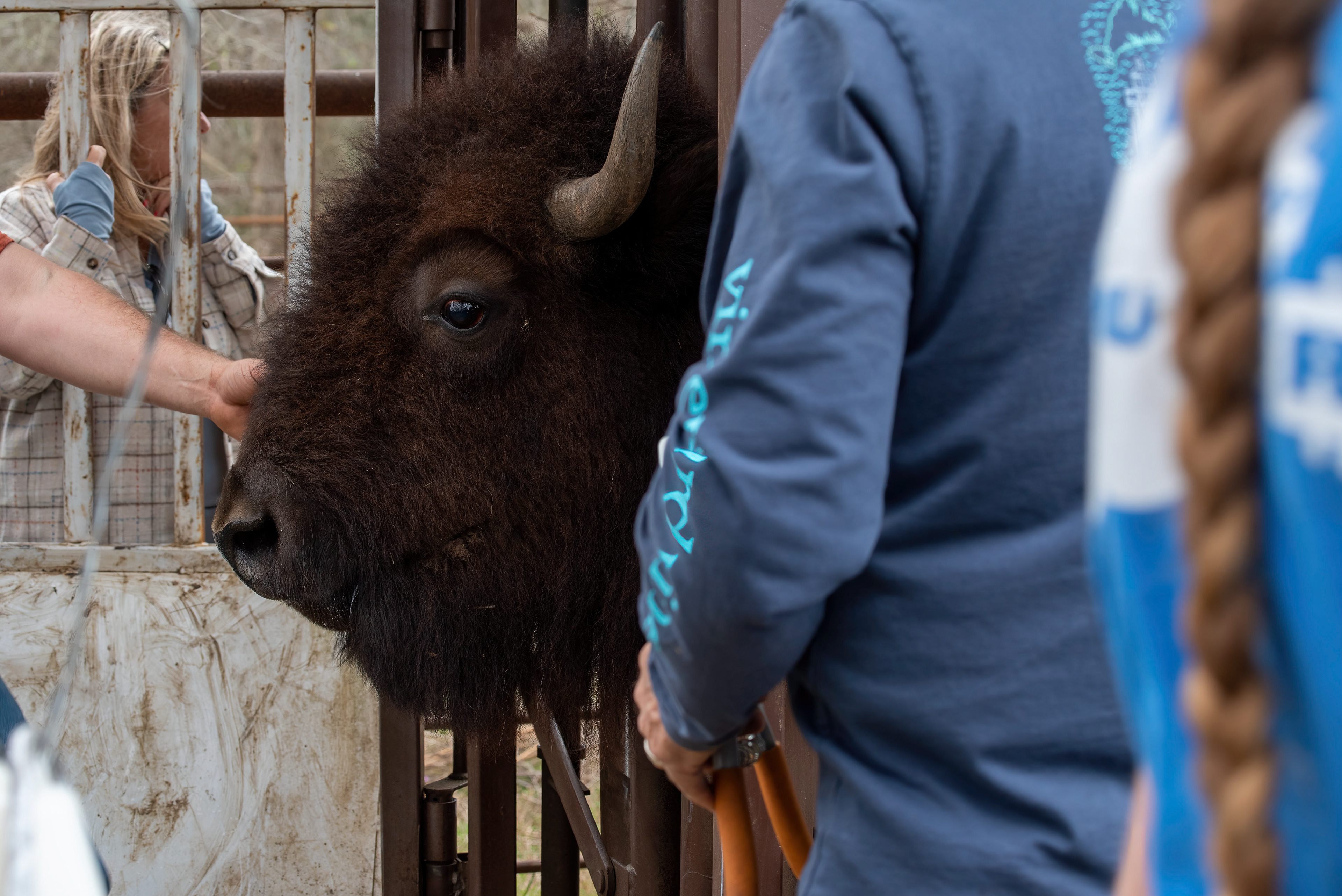 Care for God's creature