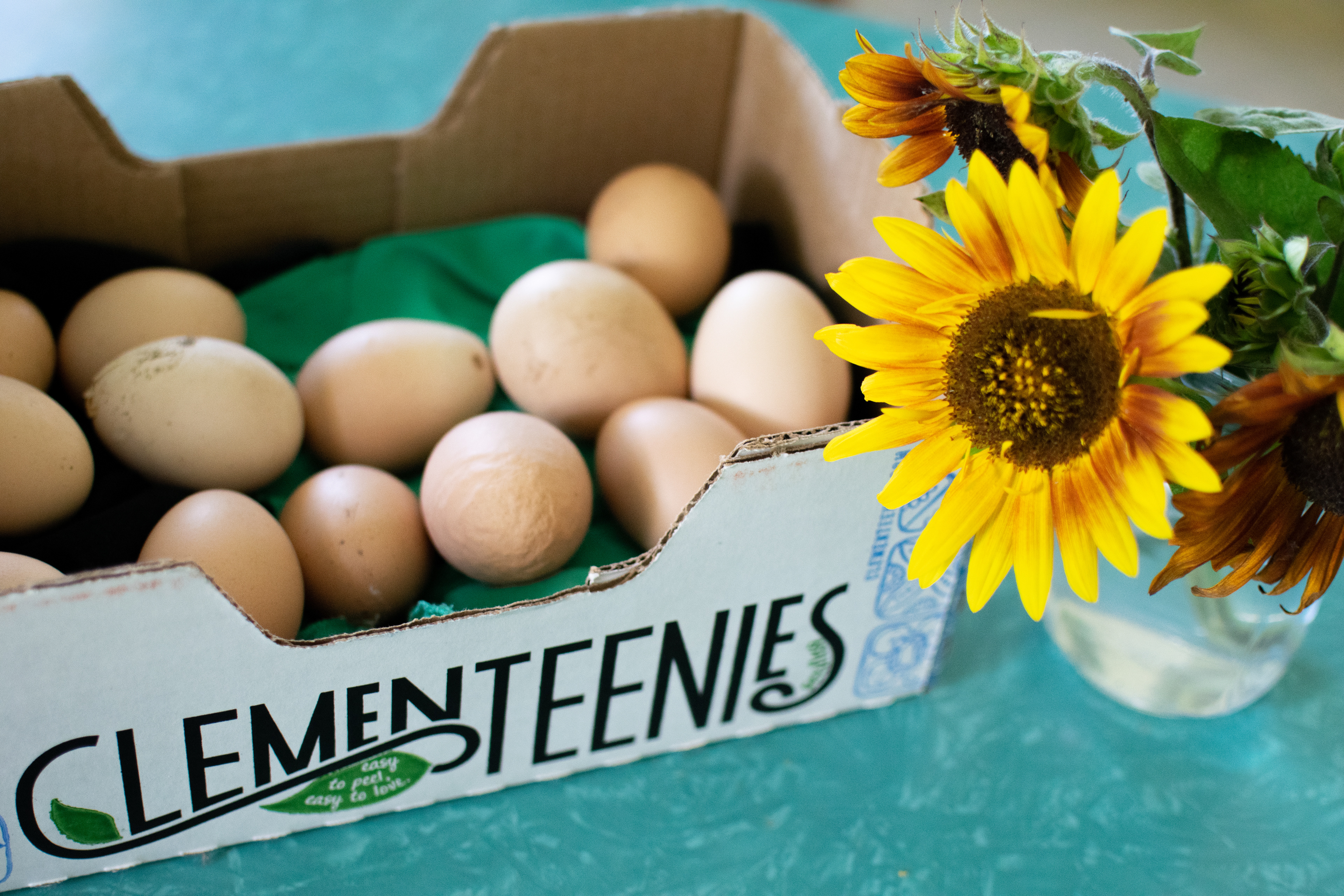 Besides growing vegetables, students who live at the nearby Restoration House keep chickens to sell eggs at the campus Farm Stand every Tuesday.
