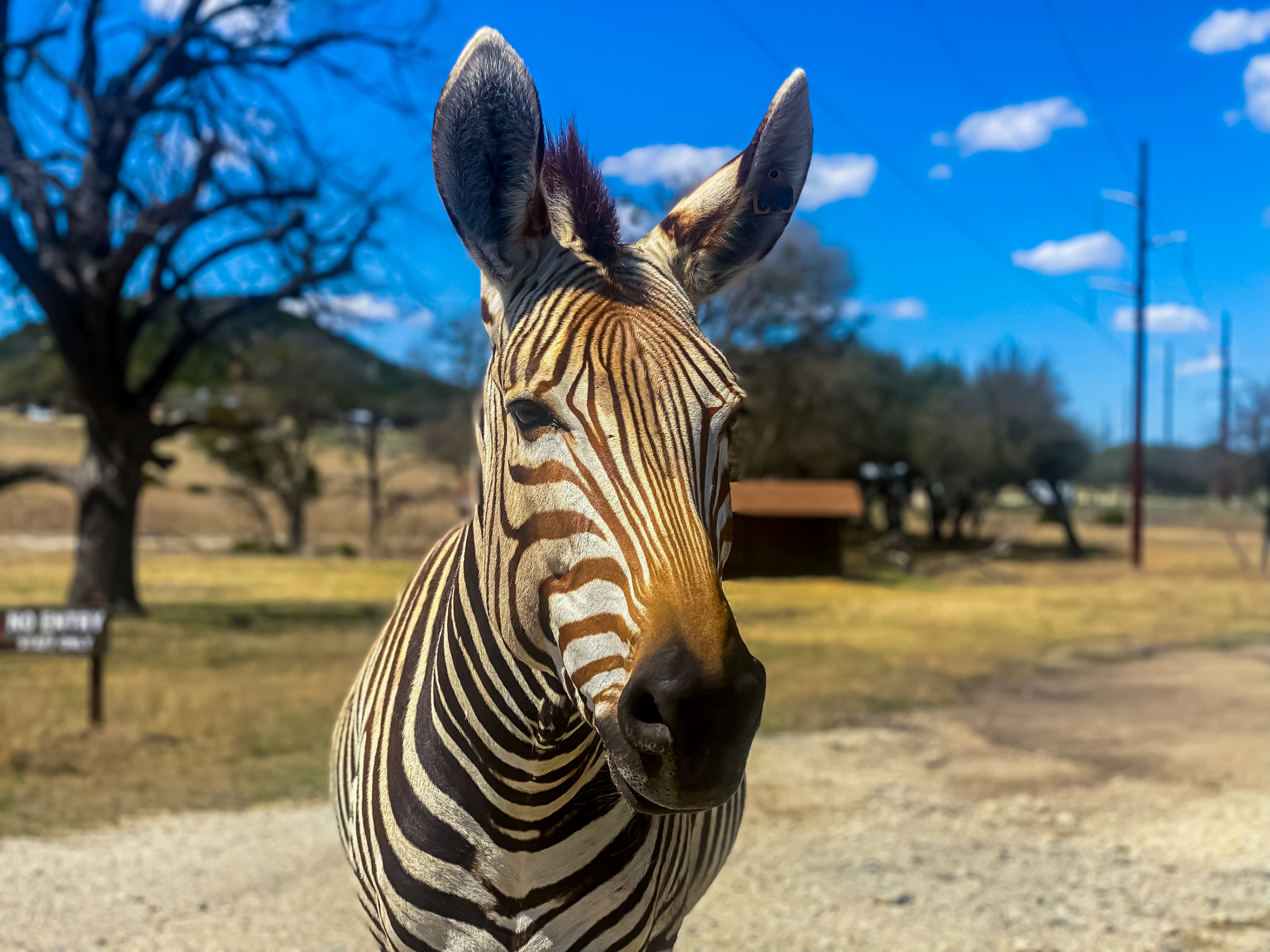 Wildlife exhibit on, March 18, 2022 in the DFW Area, Tx