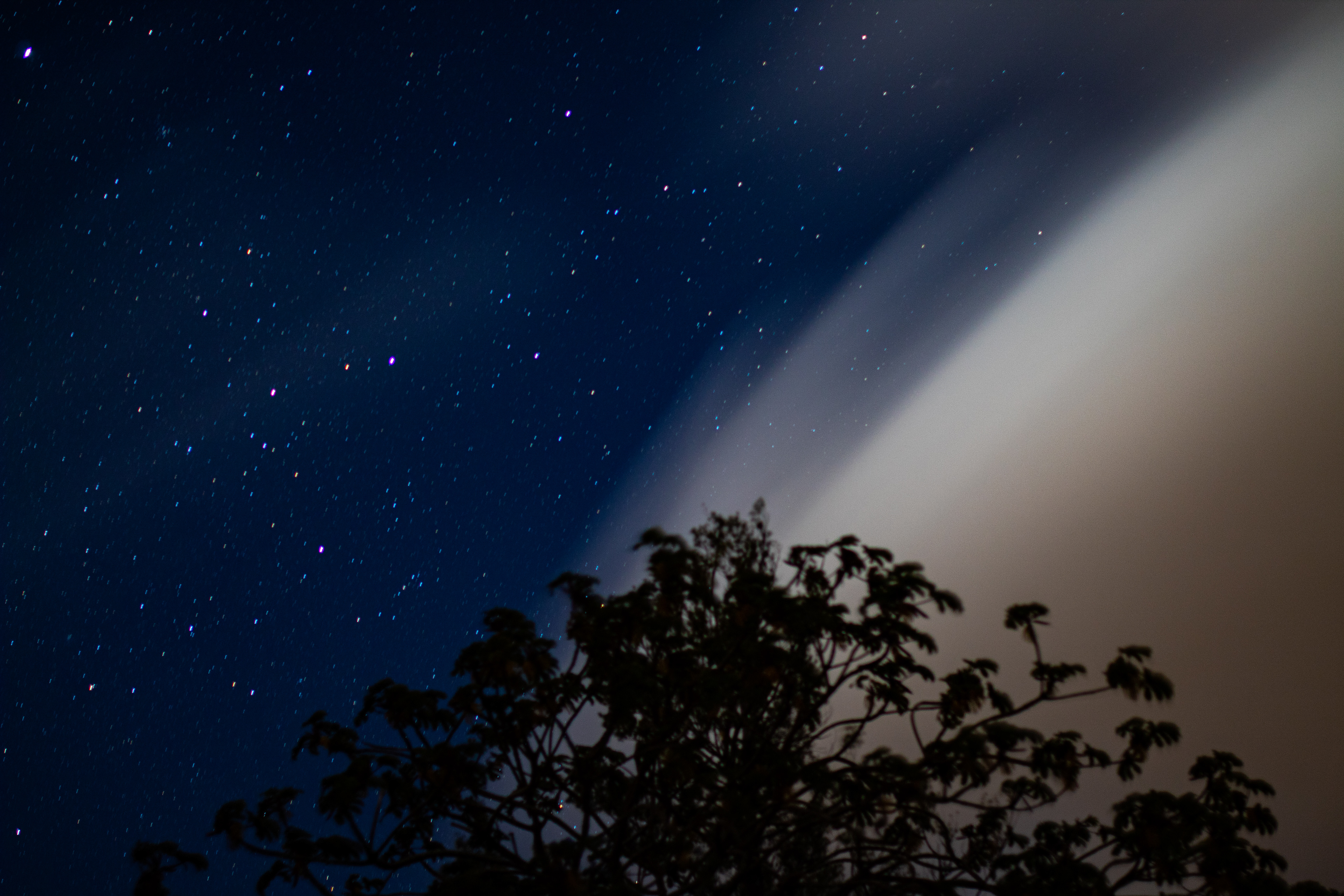 Monteverde, Costa Rica January 2022