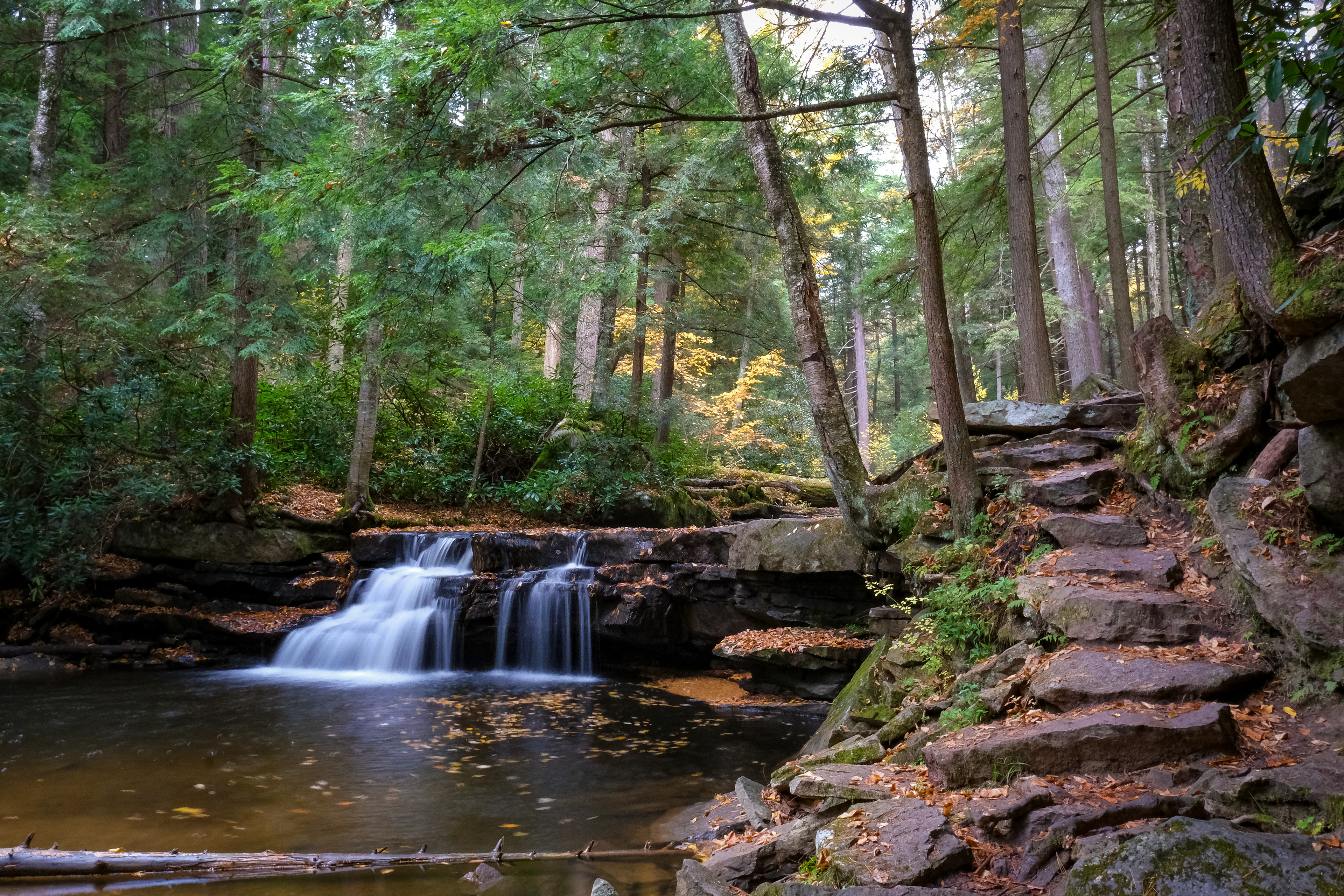 Tollivar Falls, Swallow Falls State Park, MD