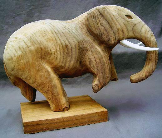 Ivory Wood