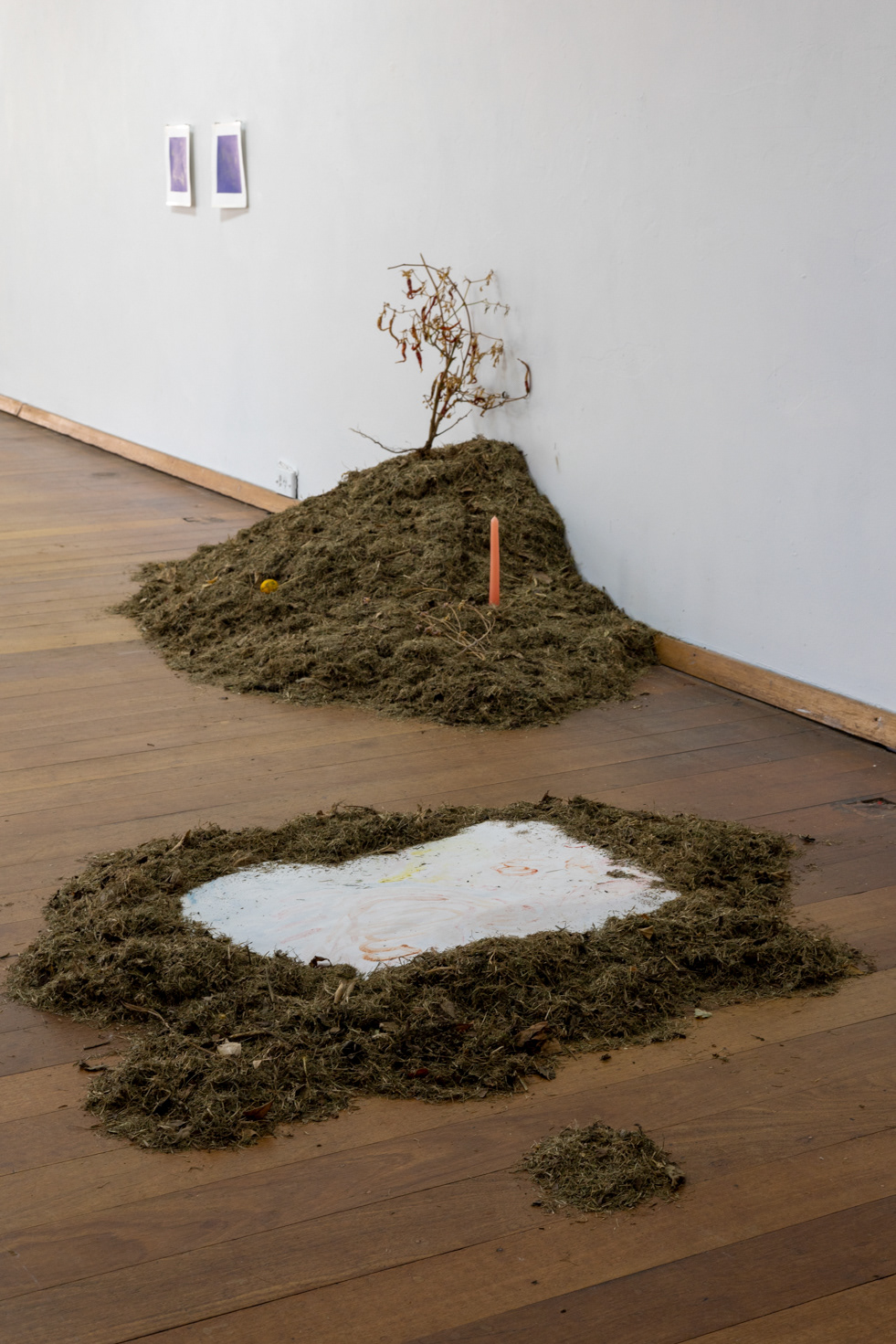 Sophy Riggs