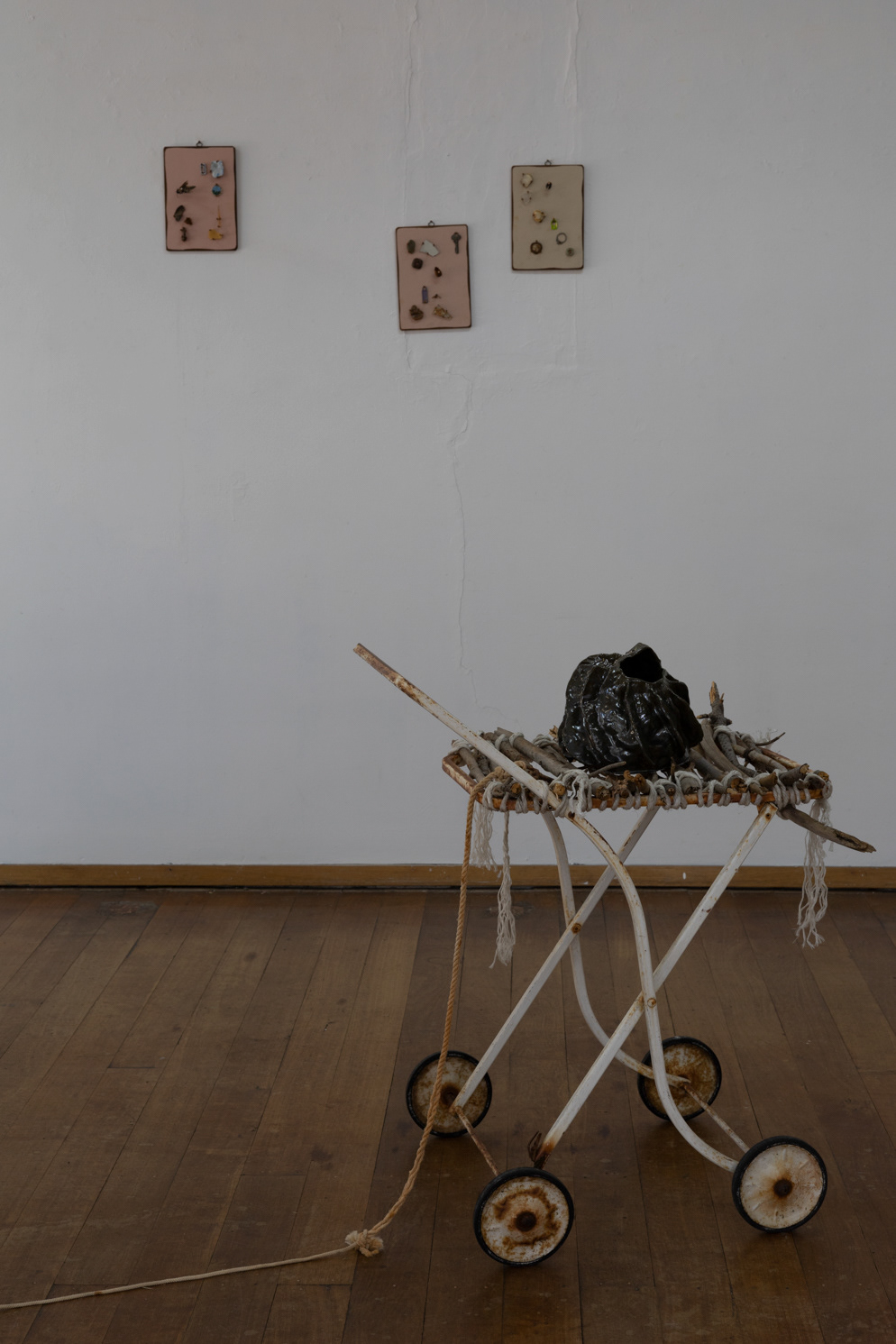 Erin Ginty