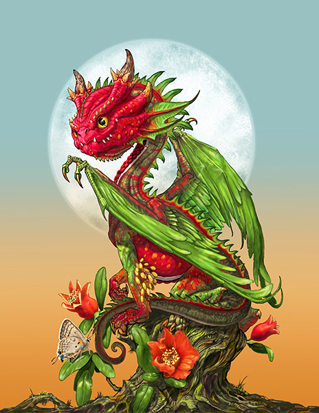 POMEGRANATE
