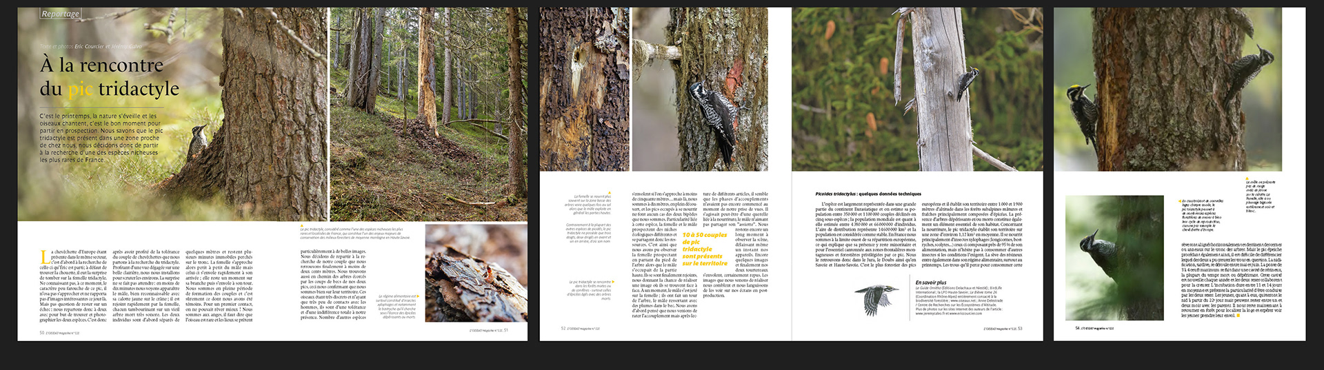 L'Oiseau Mag n°121