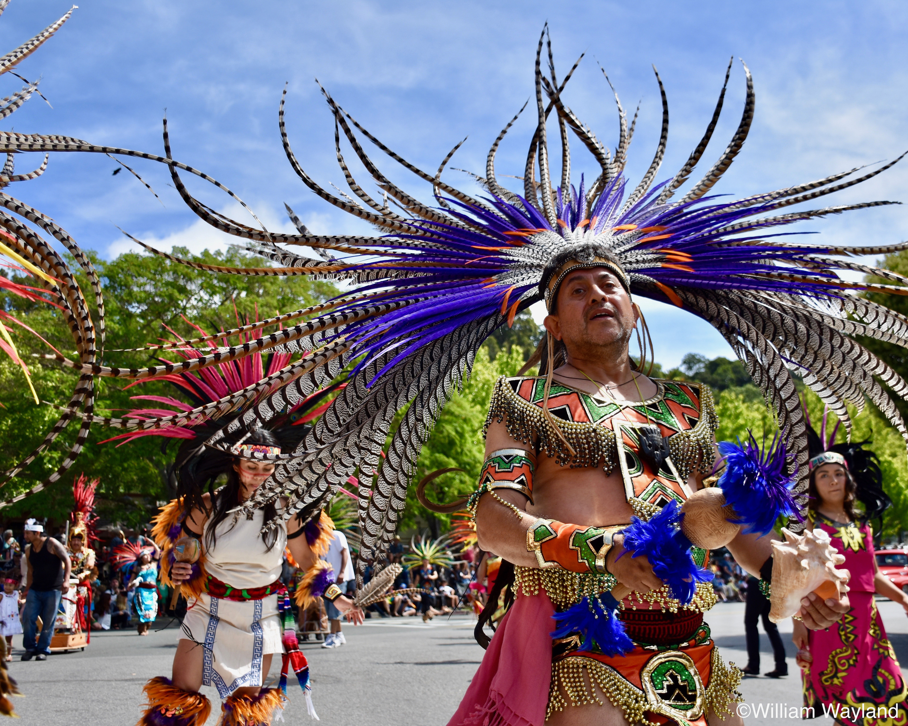 Color photograph of native american dancer by William Wayland