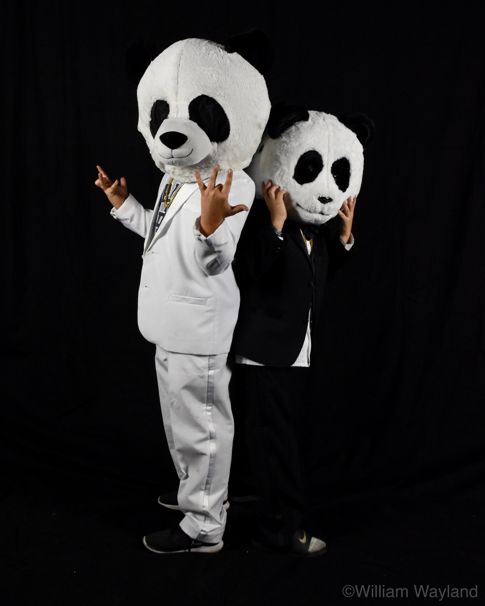 Two people in Halloween costumes dressed as panda bears