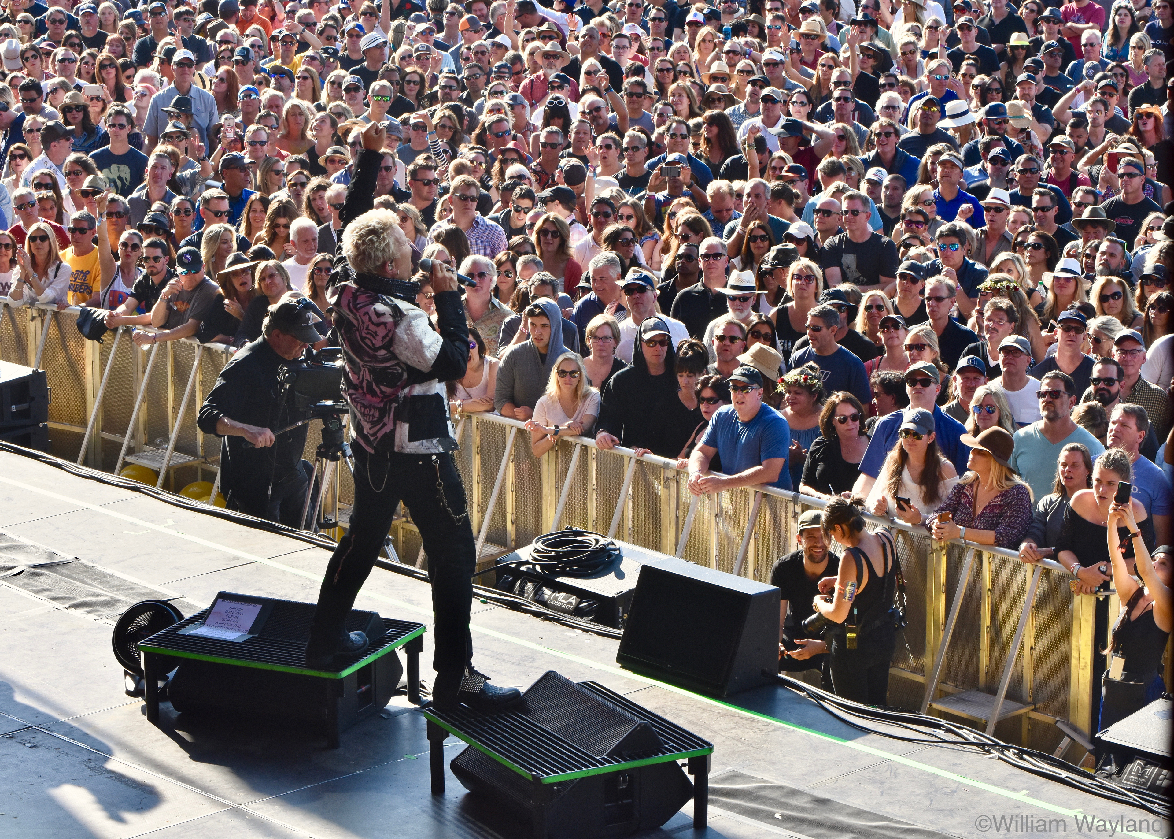 Billy Idol at Bottlerock by William Wayland