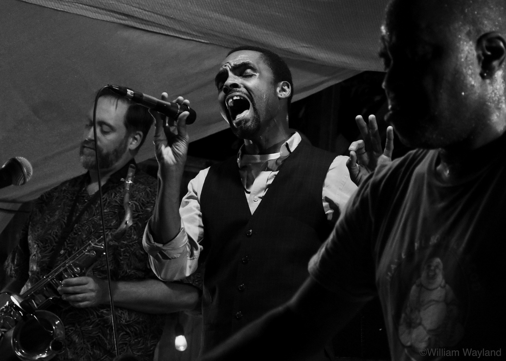 Singer Mojo of Stymie & The PJLO at The Backyard Sessions in San Anselmo by William Wayland
