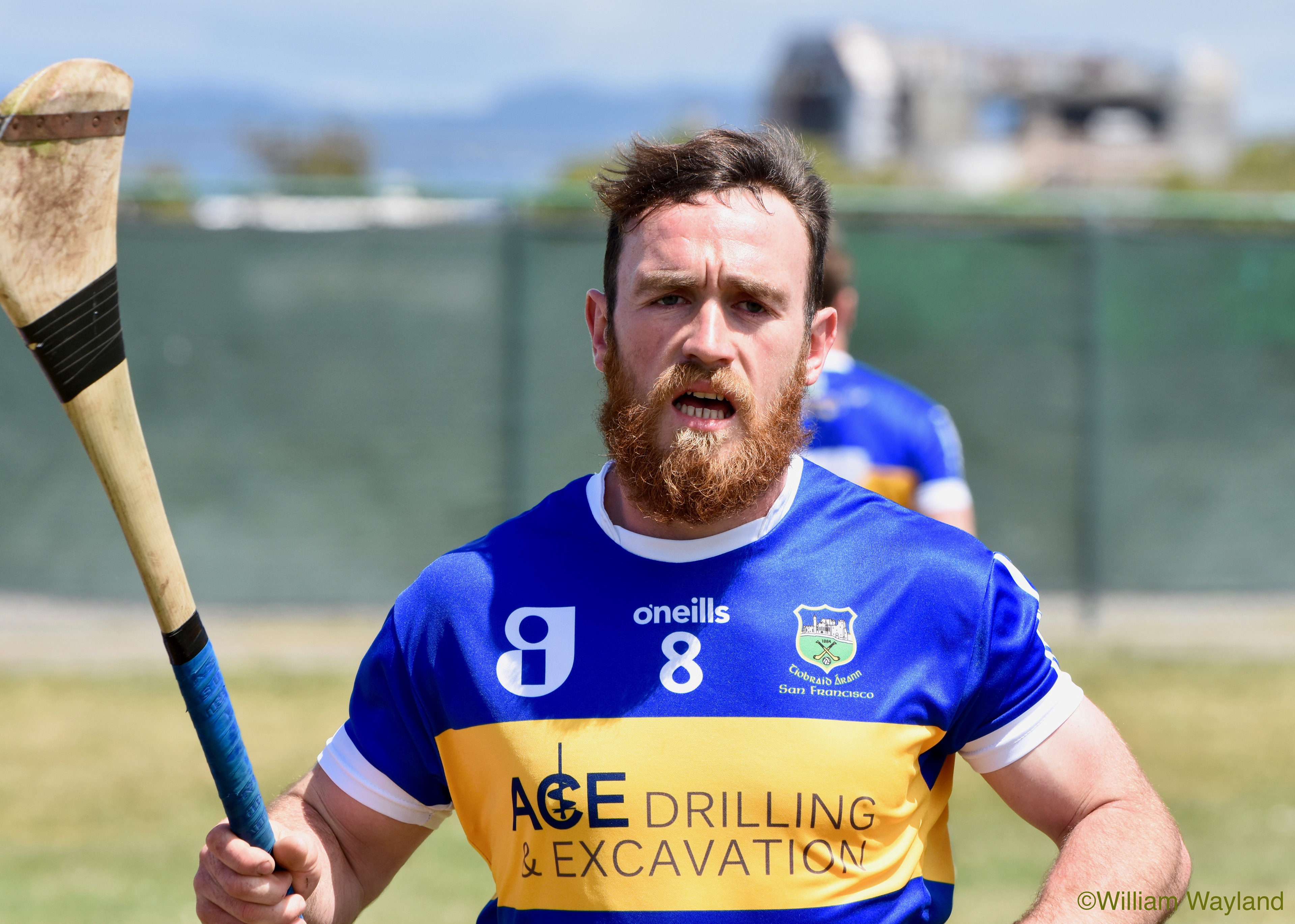 Tipperary Hurling Player by William Wayland