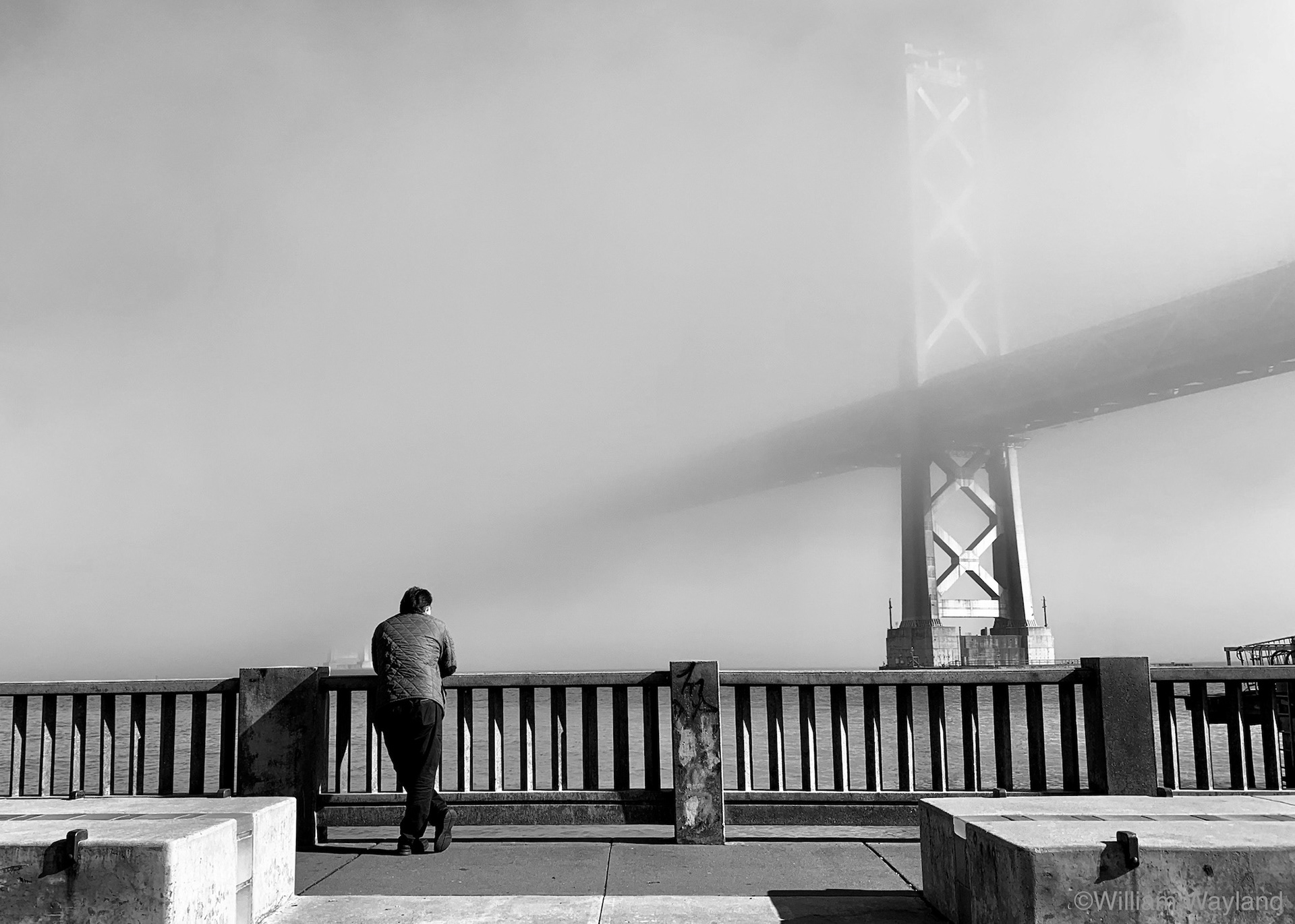 Man in San Francisco fog viewing the Bay Bridge.