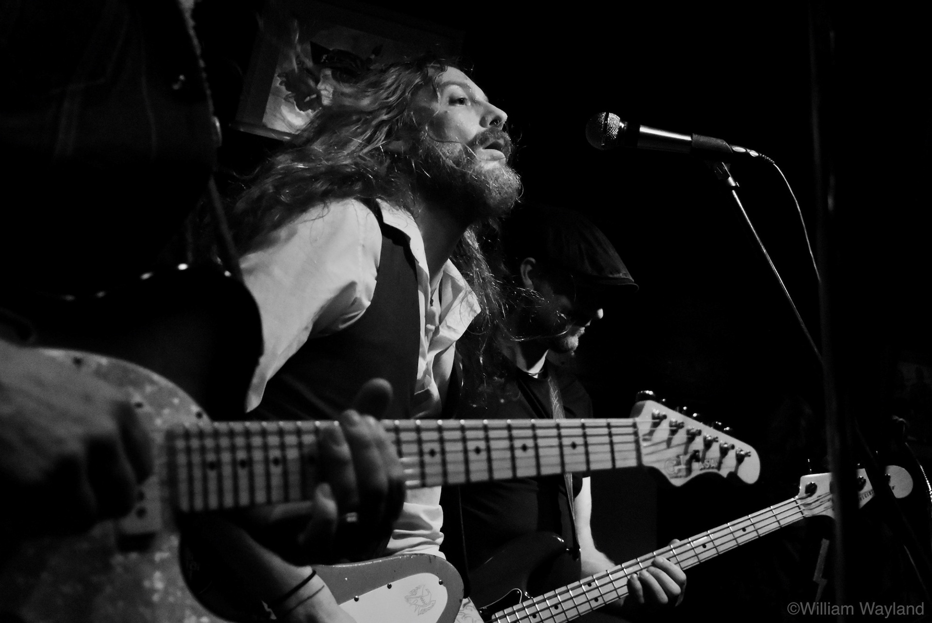 Darren Nelson of San Geronimo by William Wayland
