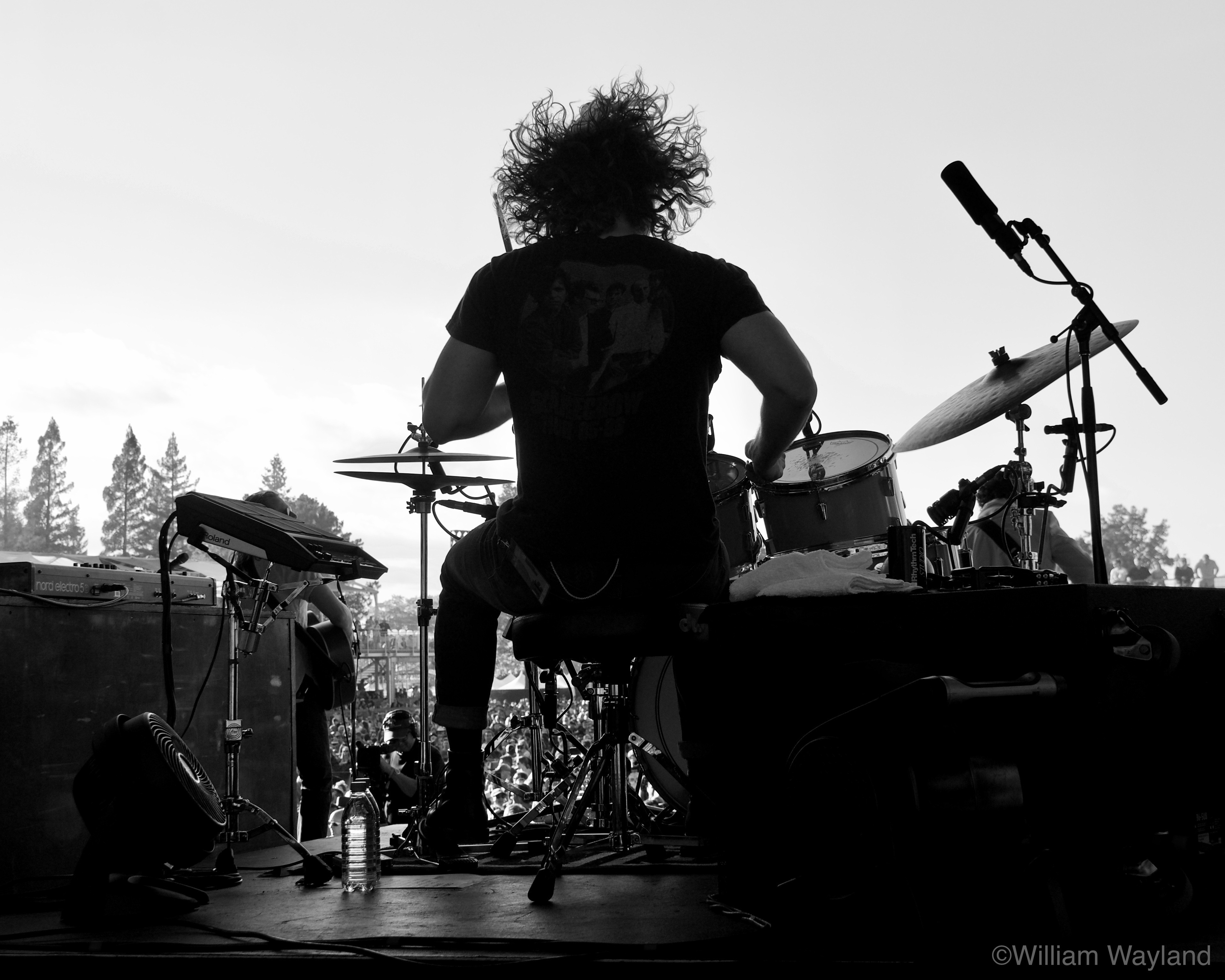 Tyler Williams of The Head and the Heart at Bottlerock by William Wayland