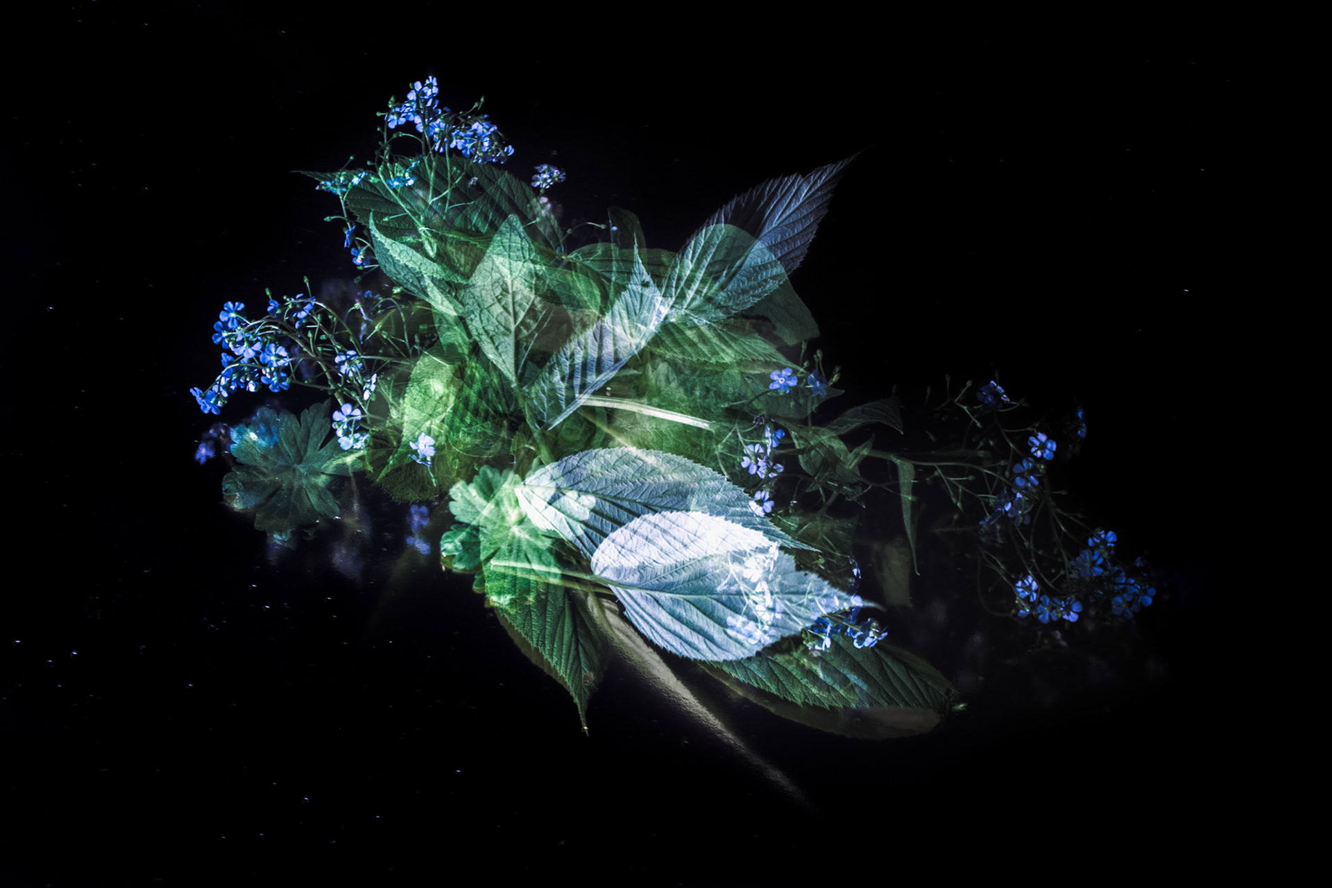 CONSTELLATIONS SERIES