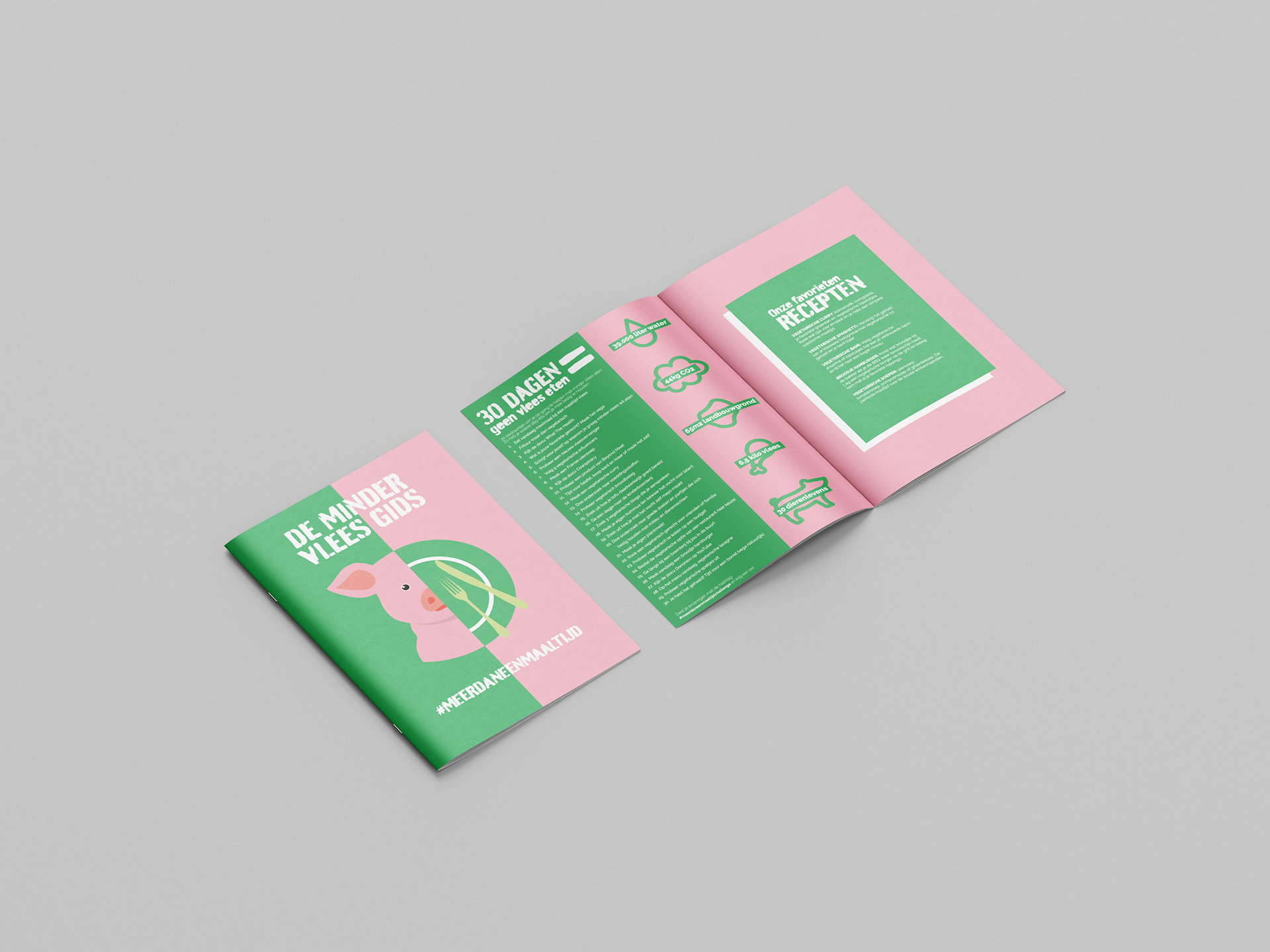 Educative booklet about eating less meat