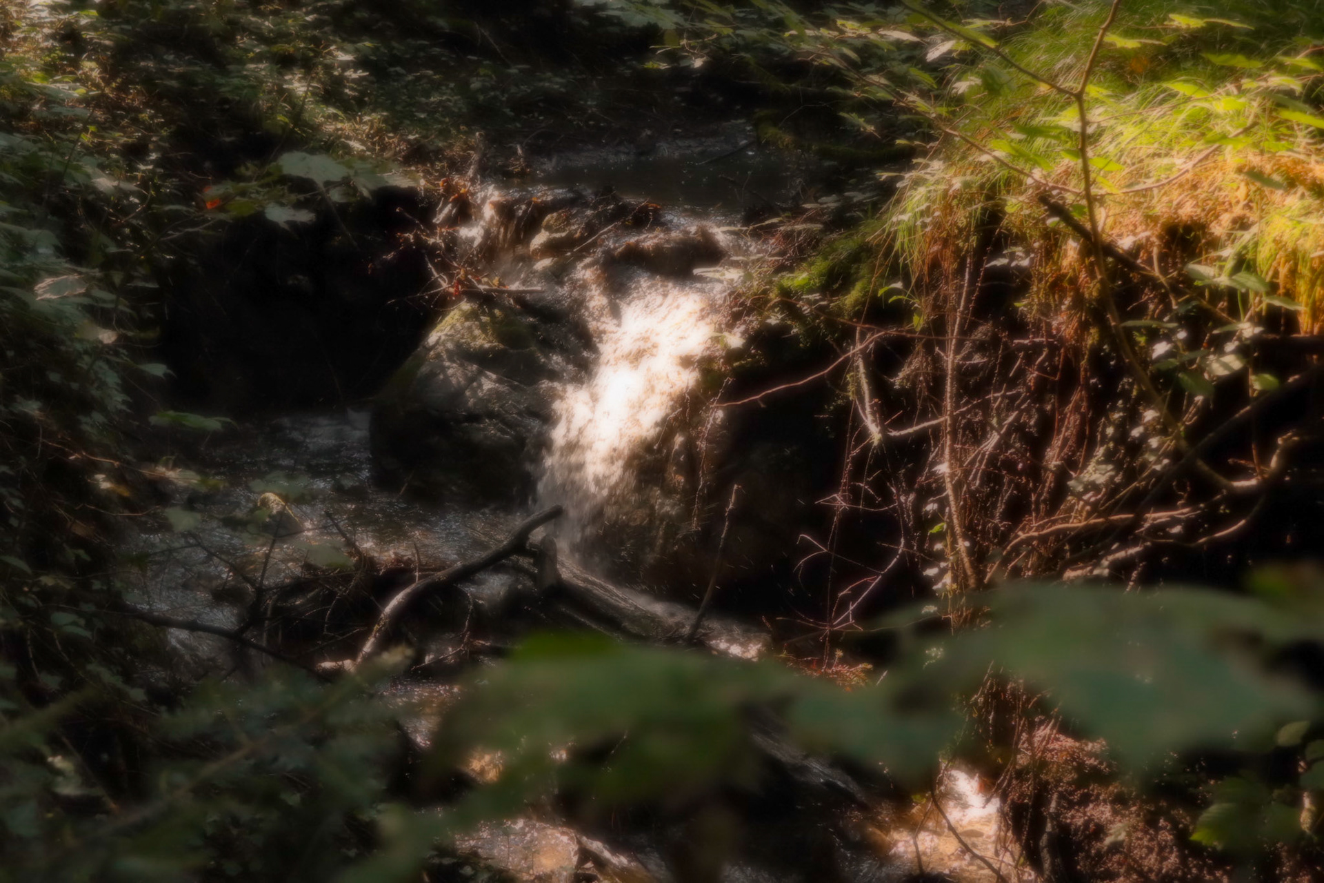 Dreamy waterfall in a forest